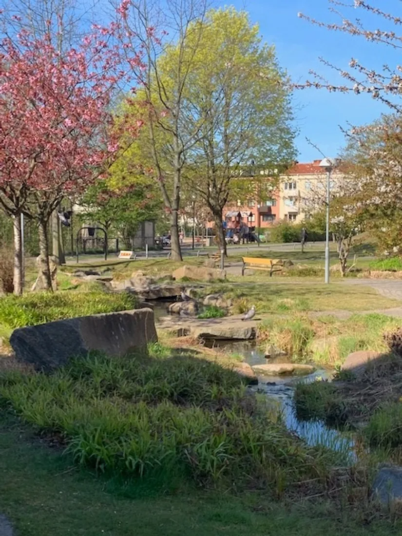 Bostadsrätt, Regeringsgatan 111, Landskrona