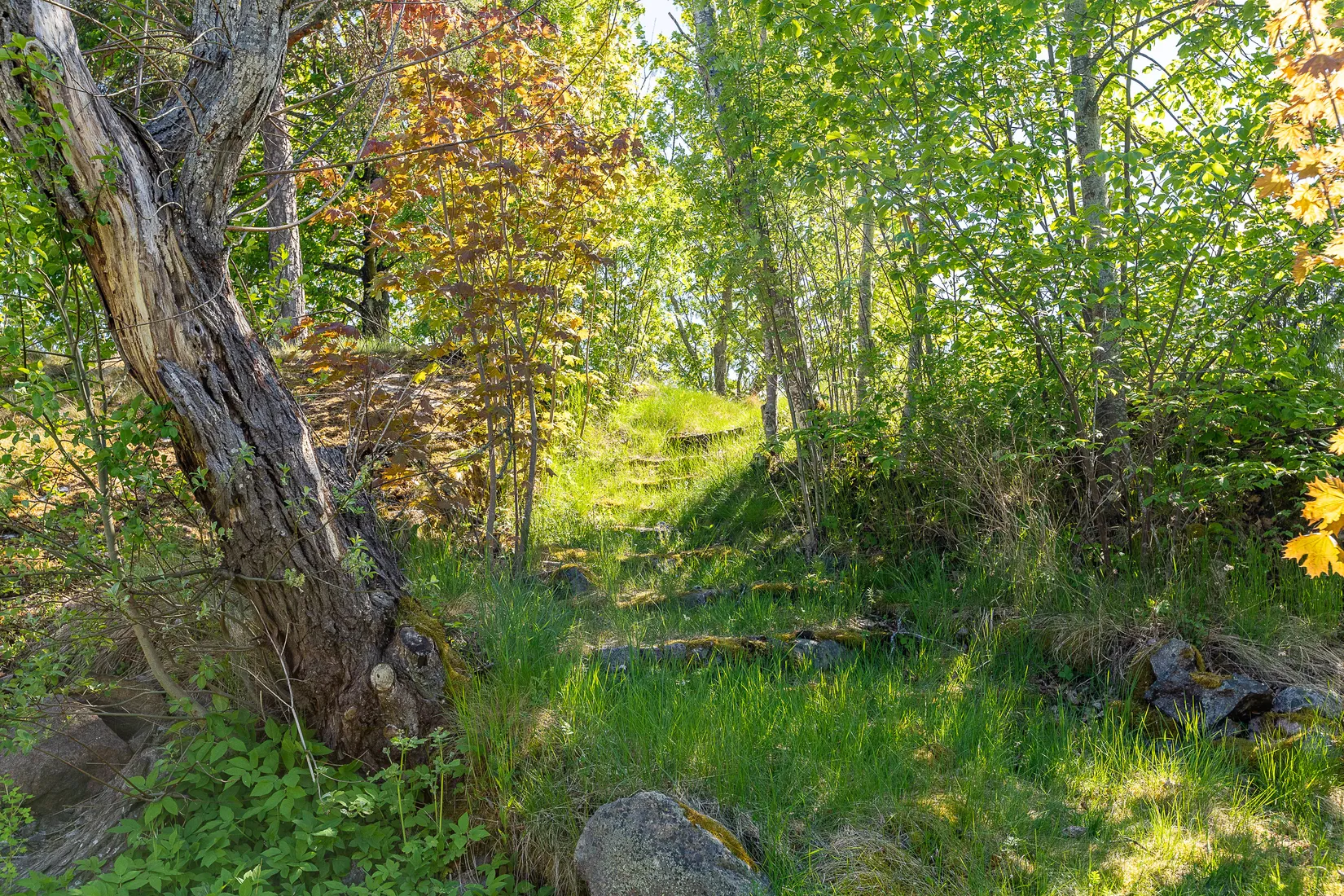 Villa, Kapellvägen 7, Eksjö