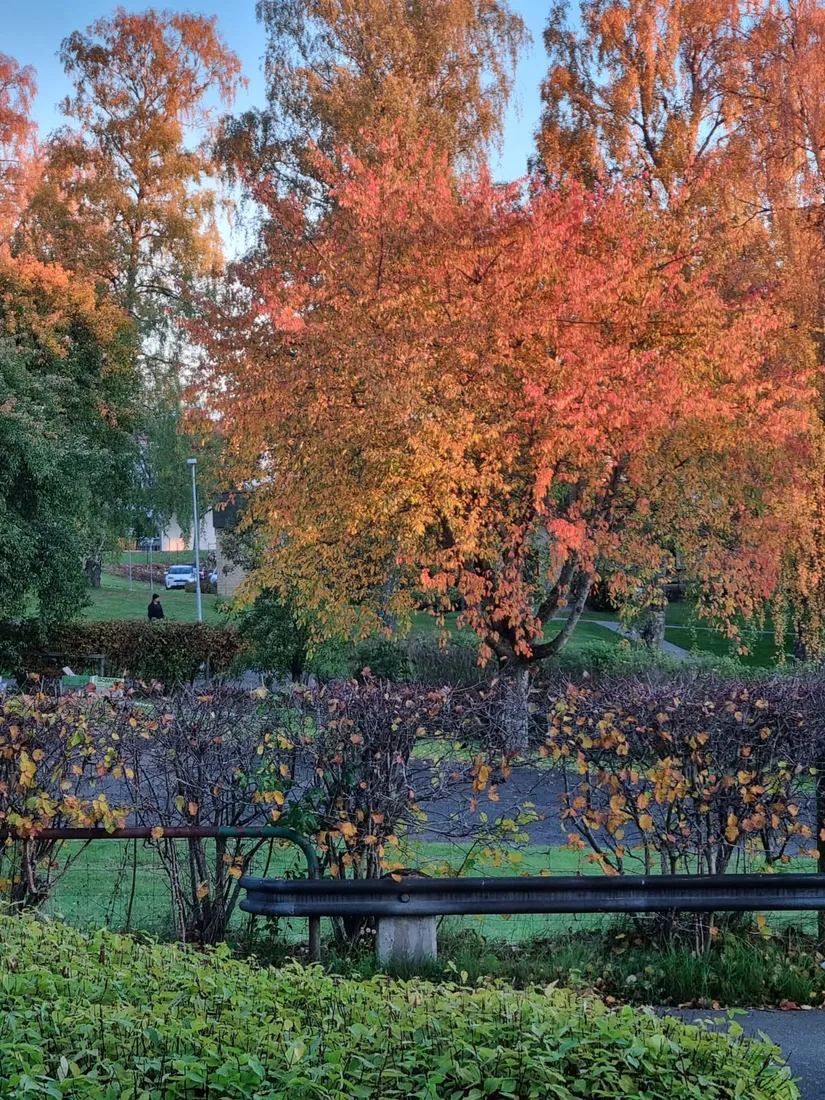 Bostadsrätt, Rosenhagavägen 24E, Rosenhaga, Skövde
