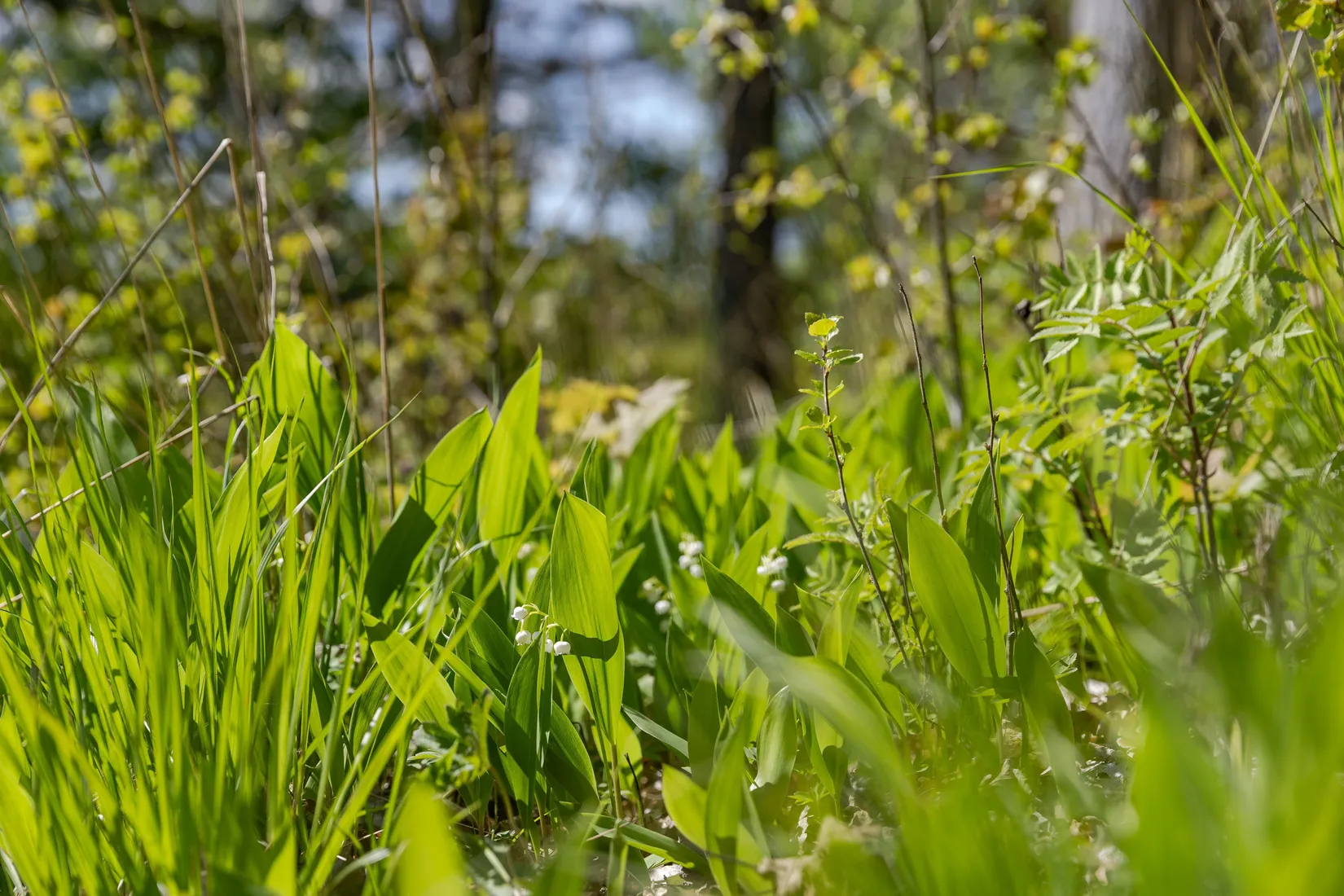 Fritidshus, Södra Fjälla Fridhem 10, Södra Fjälla, Linköping