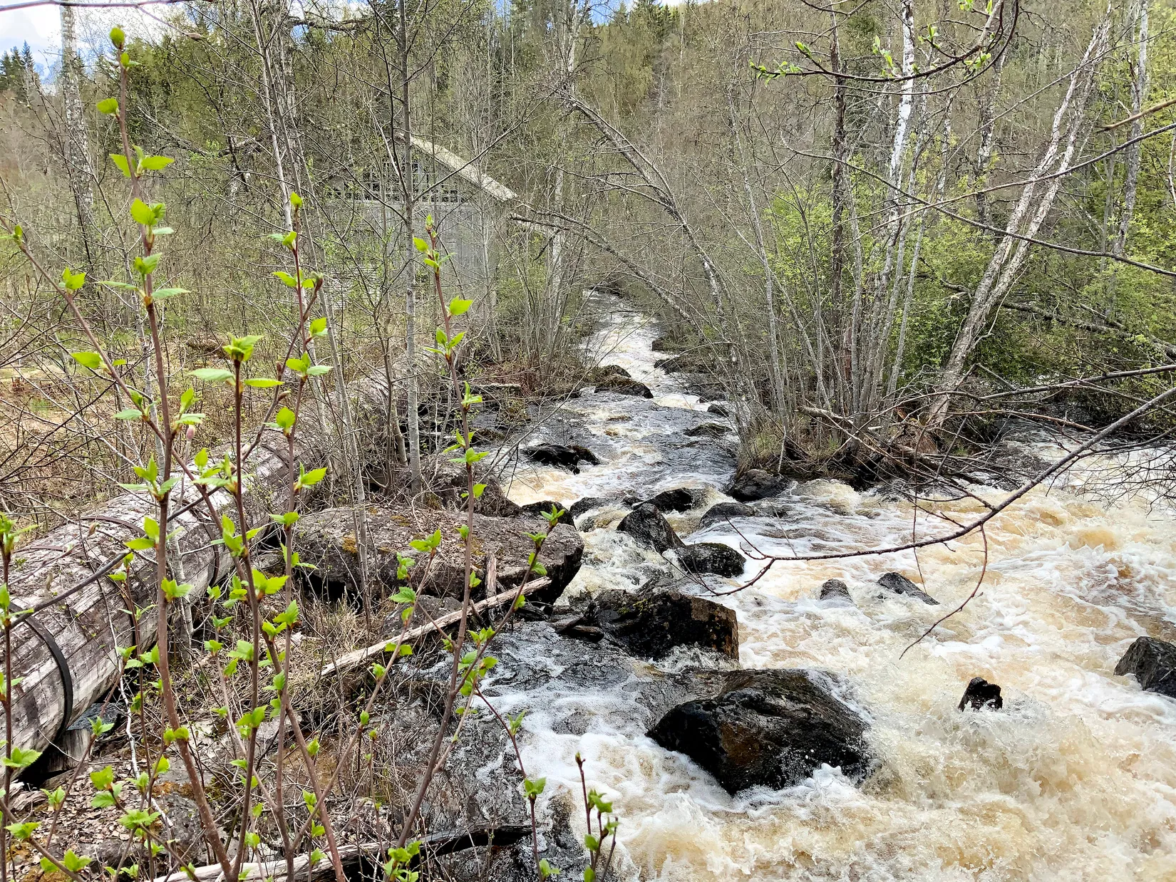 Fritidshus, Åsen 161, Liden, Sundsvall
