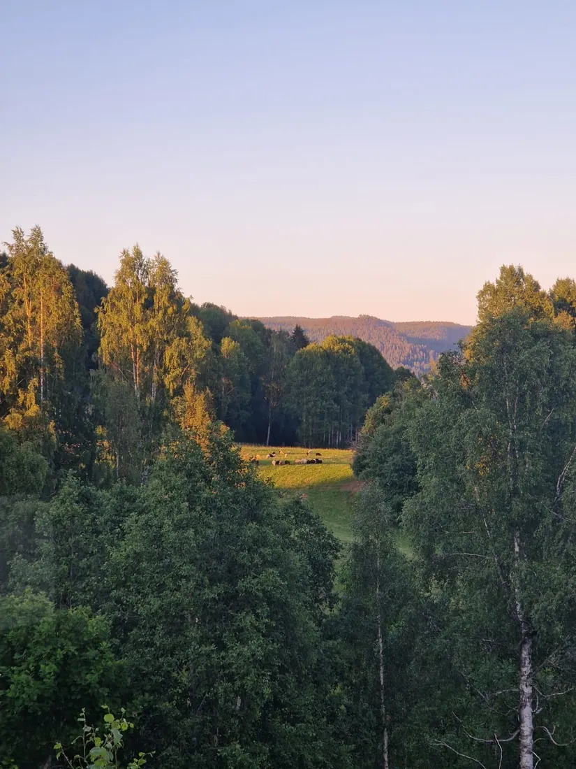 Fritidshus, Åsen 161, Liden, Sundsvall