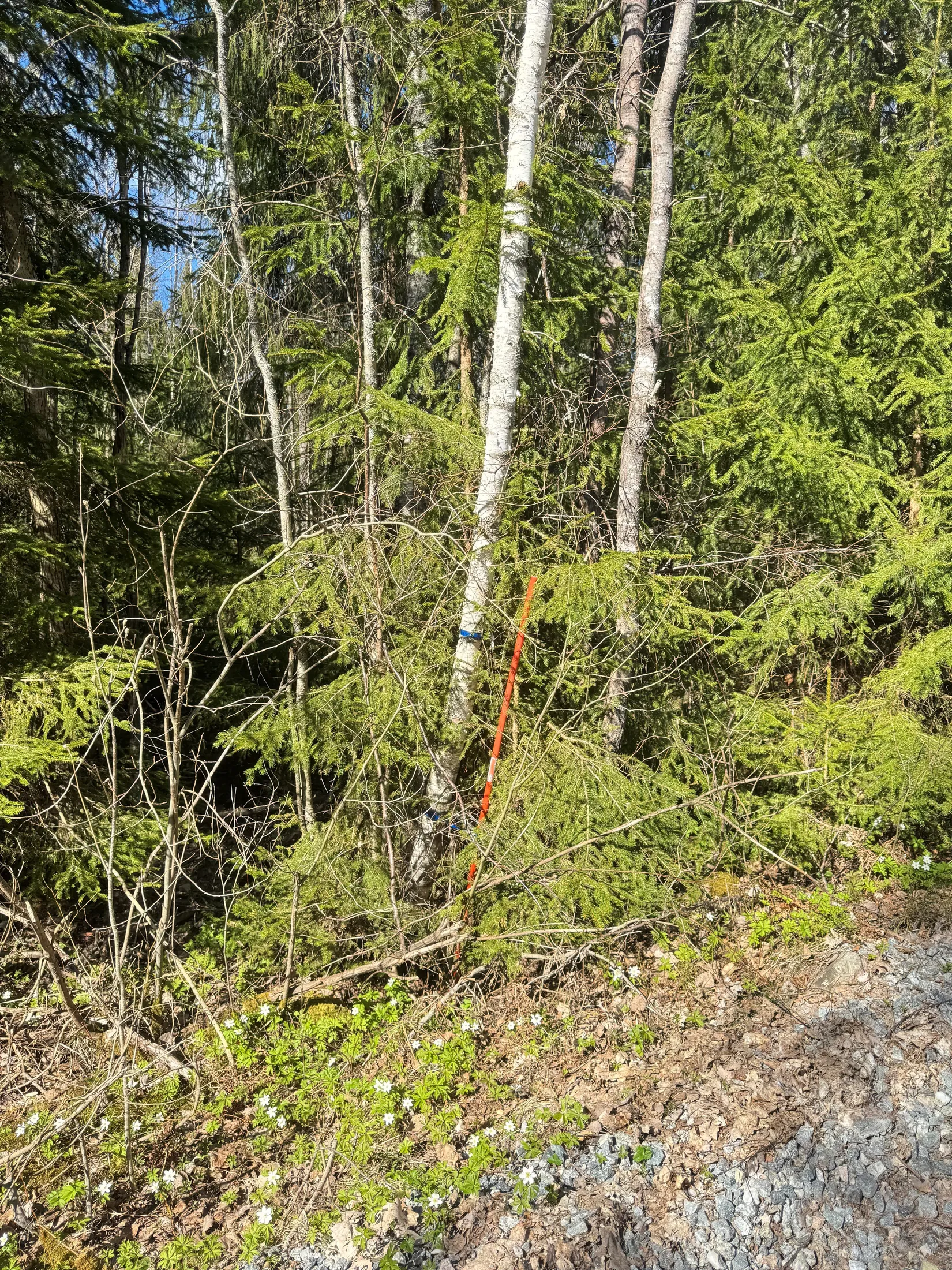 Tomt, Trossängen  181 (OBS! se kordinater), Brattberget, Arboga