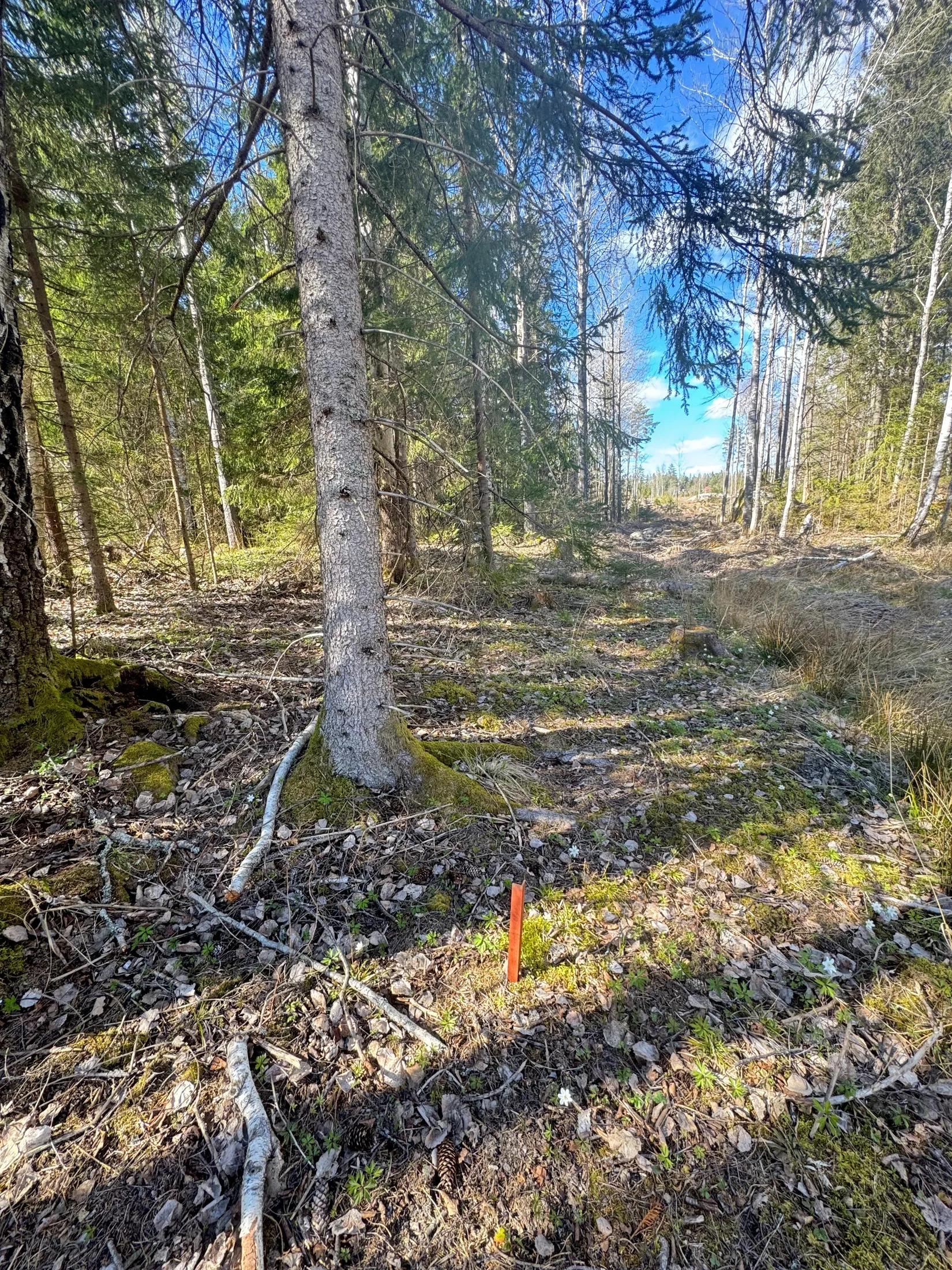 Tomt, Trossängen  181 (OBS! se kordinater), Brattberget, Arboga
