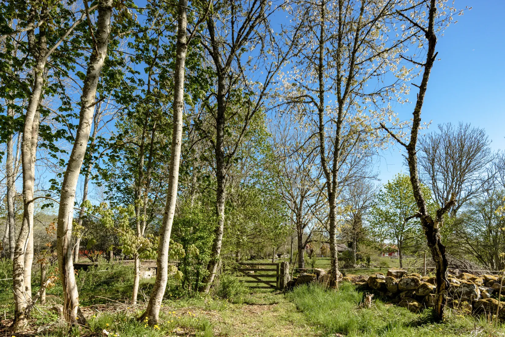 Gård/Skog, Kalvshaga Björsagård 1, Växjö