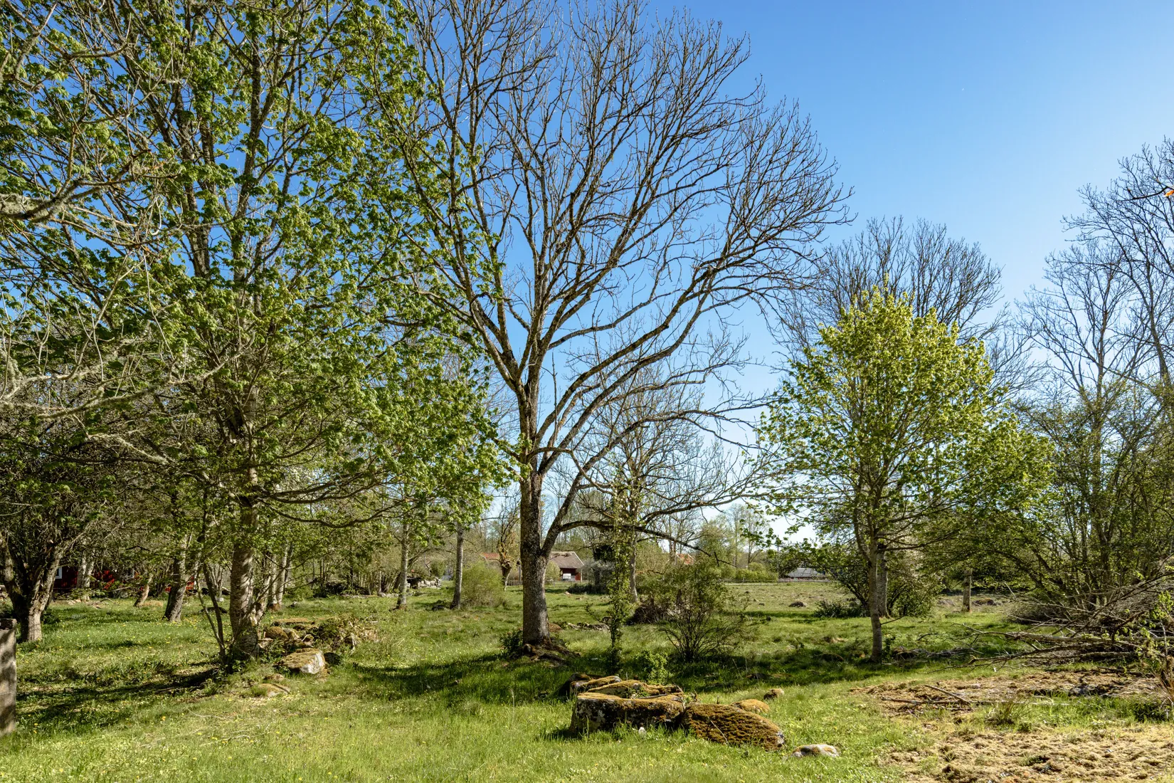 Gård/Skog, Kalvshaga Björsagård 1, Växjö