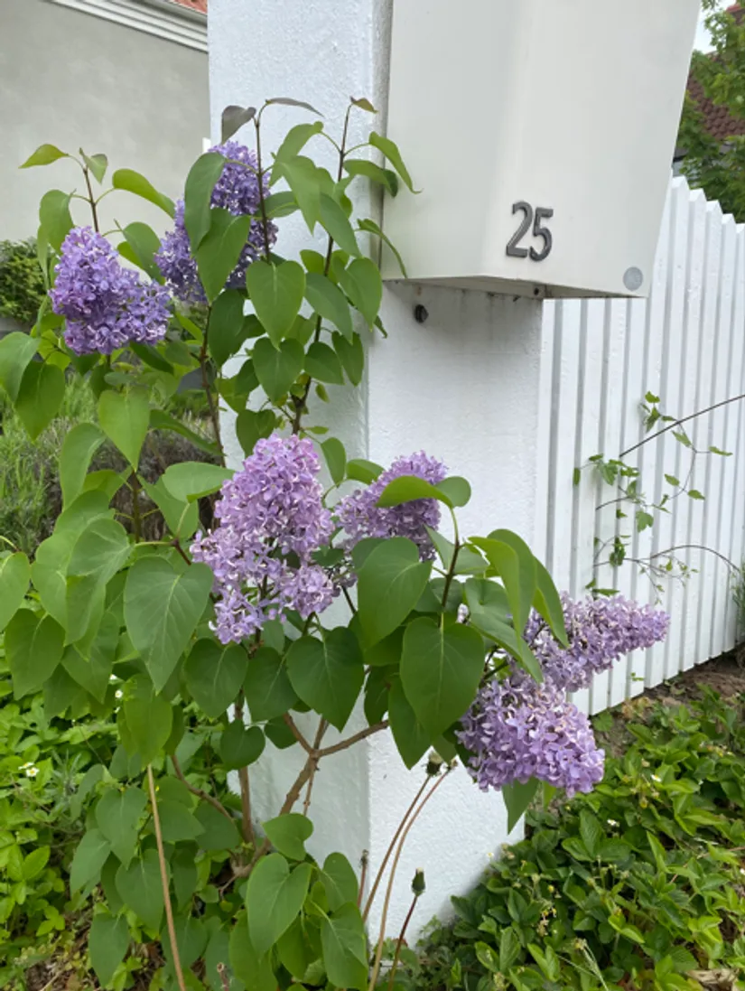 Villa, Traktörsgatan 25, Fältabacken, Helsingborg