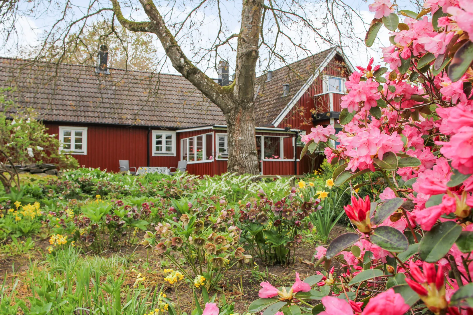 Gård/Skog, Bassköpsvägen 466, Bockeboda, Kristianstad