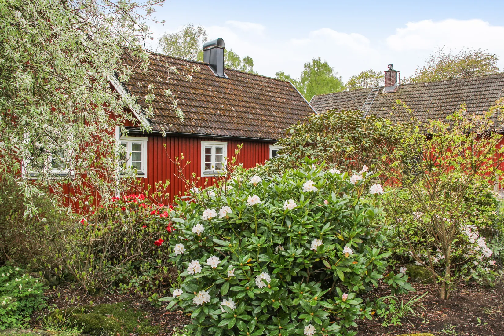 Gård/Skog, Bassköpsvägen 466, Bockeboda, Kristianstad