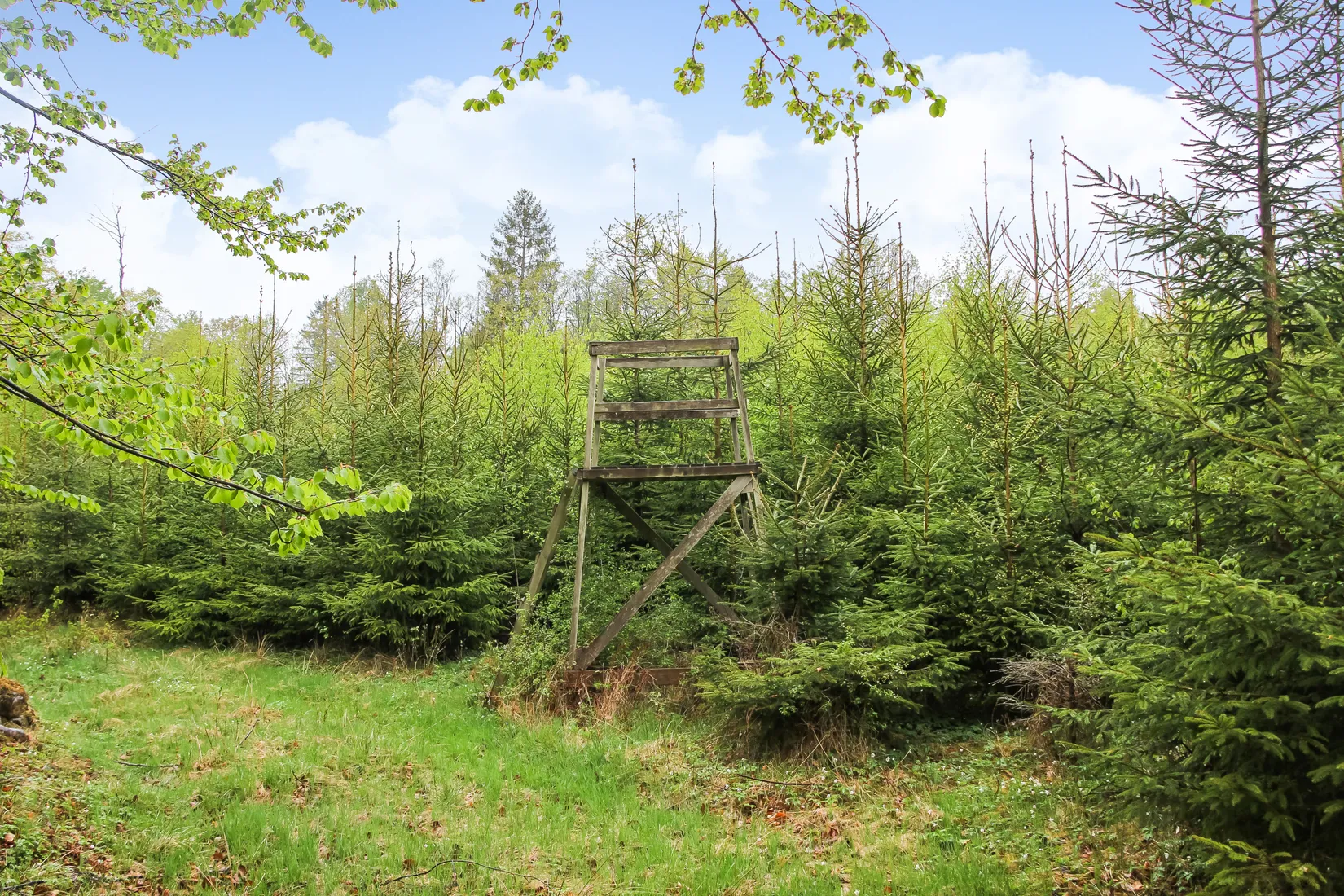 Gård/Skog, Bassköpsvägen 466, Bockeboda, Kristianstad