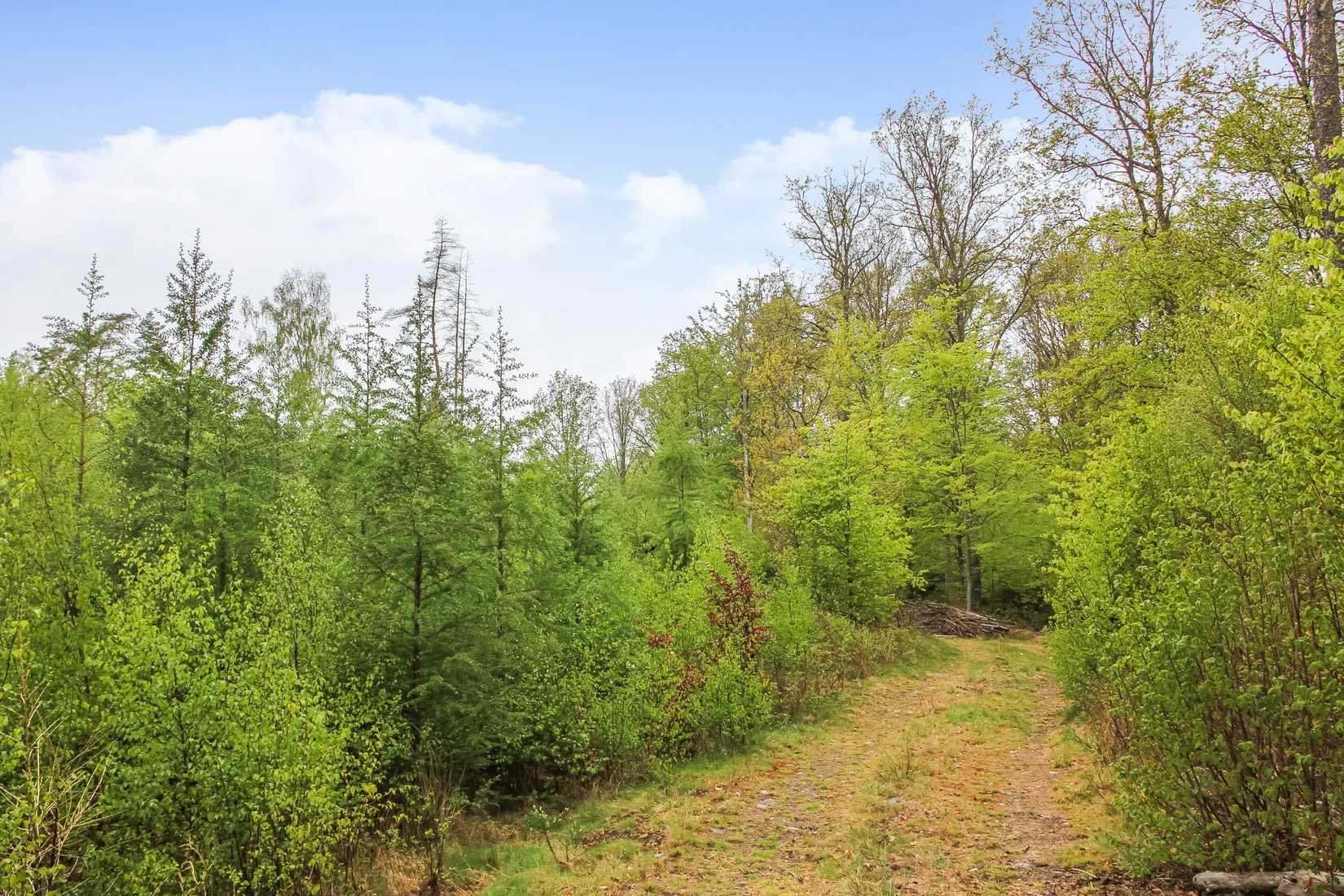 Gård/Skog, Bassköpsvägen 466, Bockeboda, Kristianstad