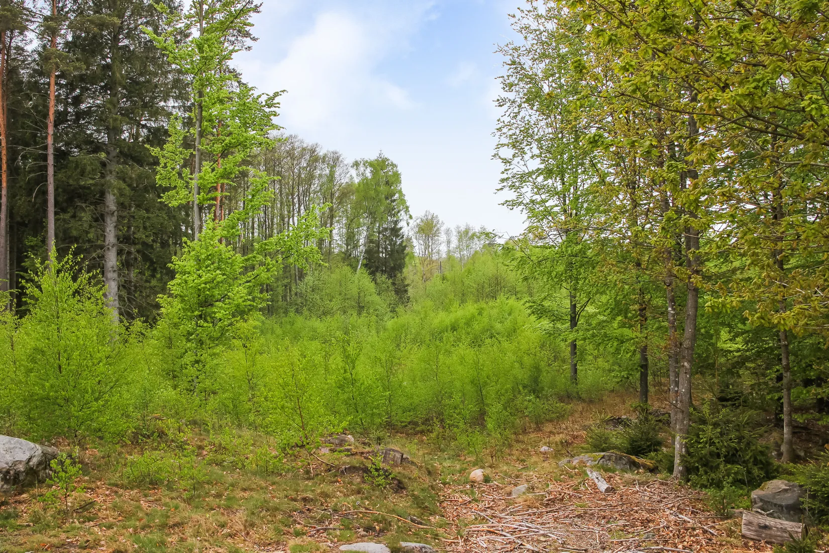 Gård/Skog, Bassköpsvägen 466, Bockeboda, Kristianstad