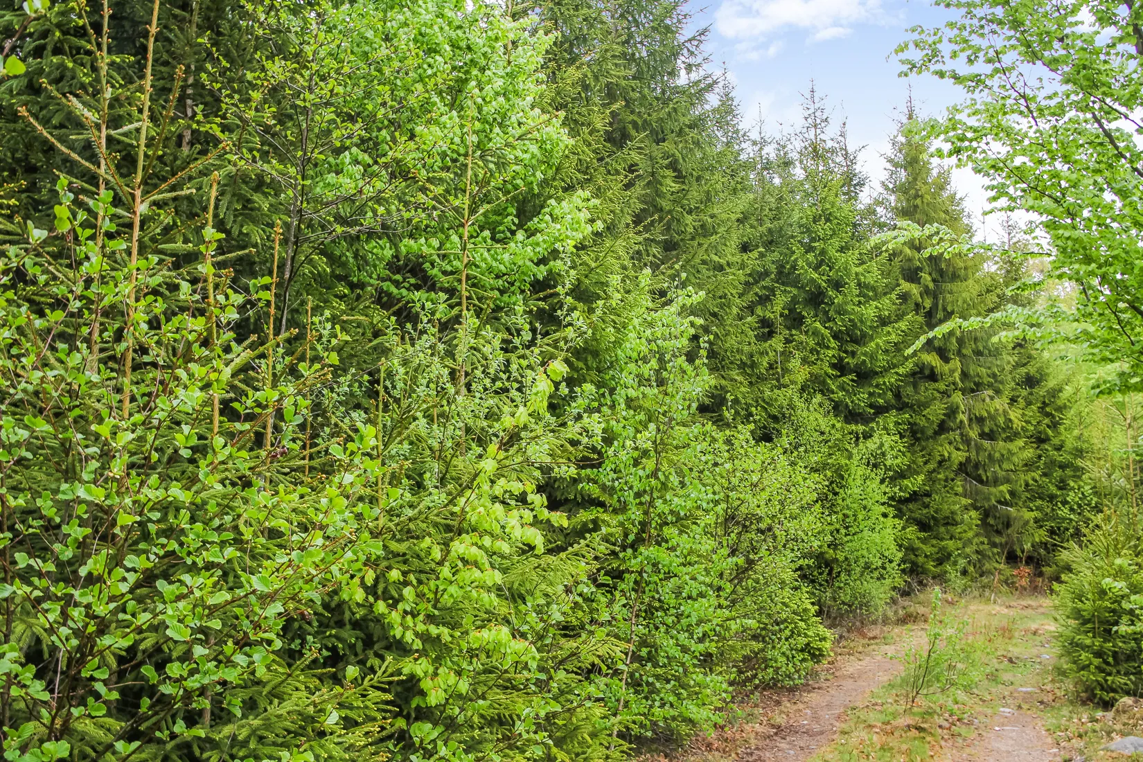 Gård/Skog, Bassköpsvägen 466, Bockeboda, Kristianstad