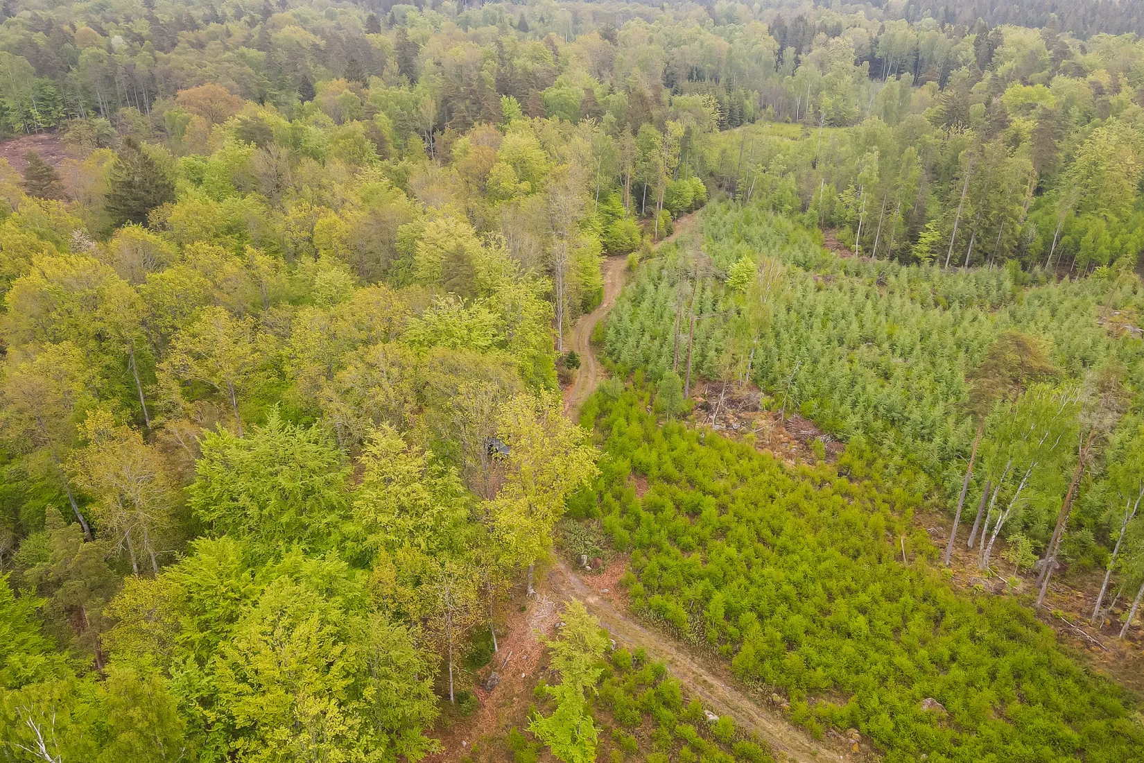 Gård/Skog, Bassköpsvägen 466, Bockeboda, Kristianstad