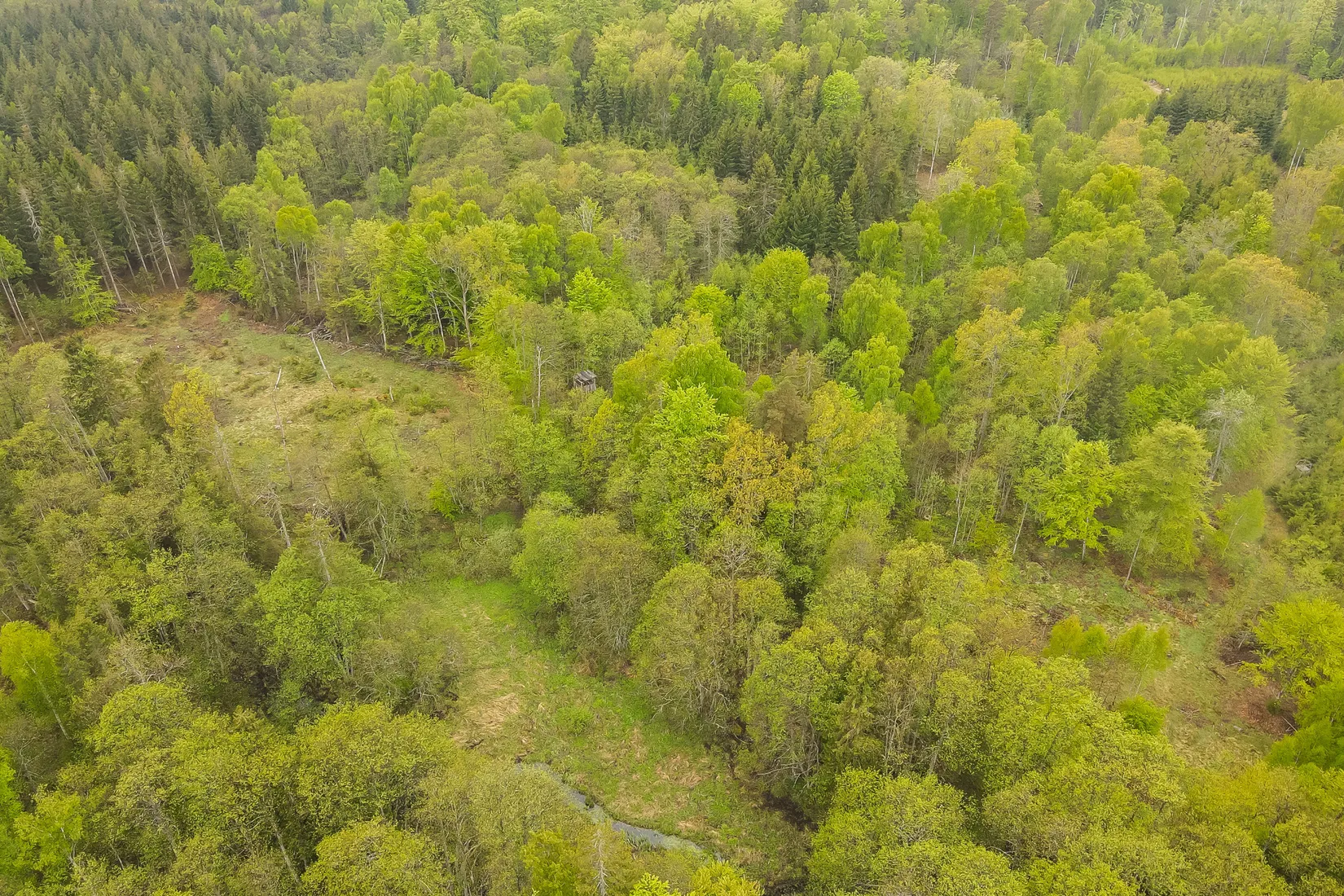 Gård/Skog, Bassköpsvägen 466, Bockeboda, Kristianstad