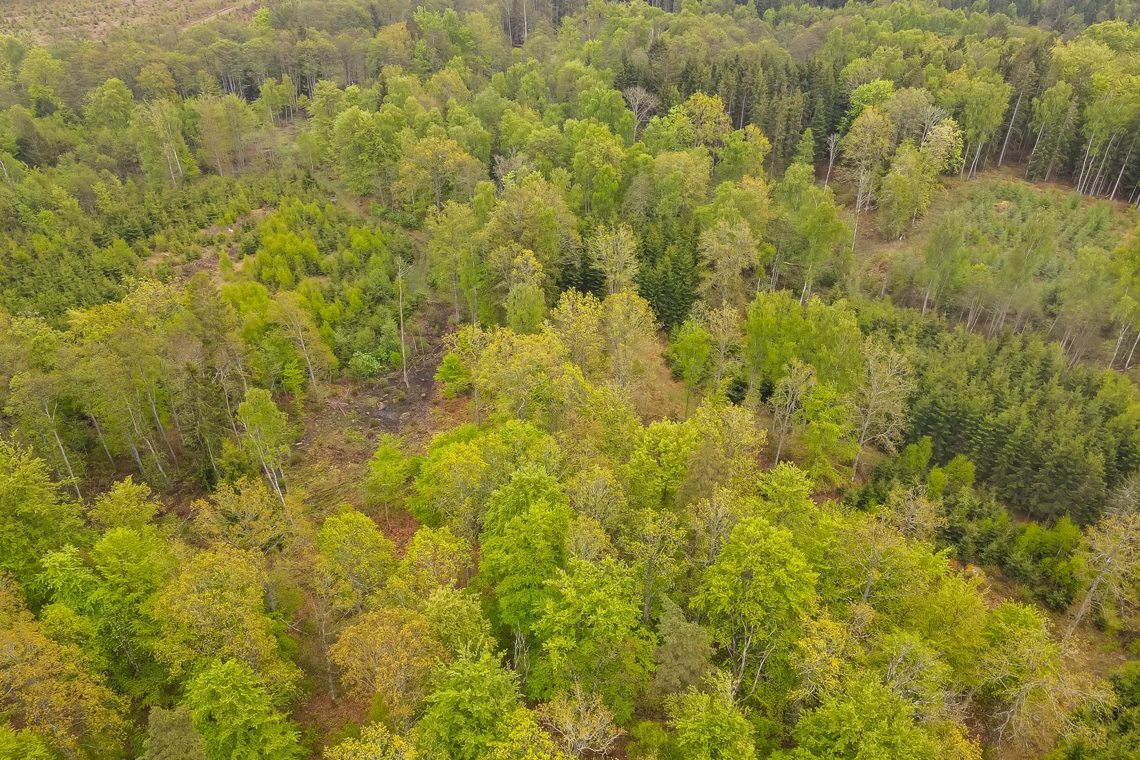 Gård/Skog, Bassköpsvägen 466, Bockeboda, Kristianstad