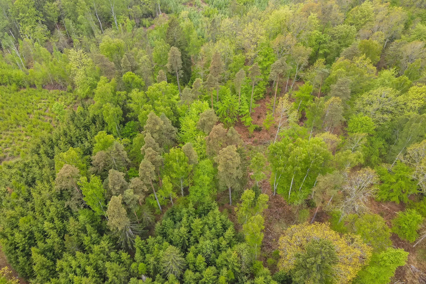 Gård/Skog, Bassköpsvägen 466, Bockeboda, Kristianstad