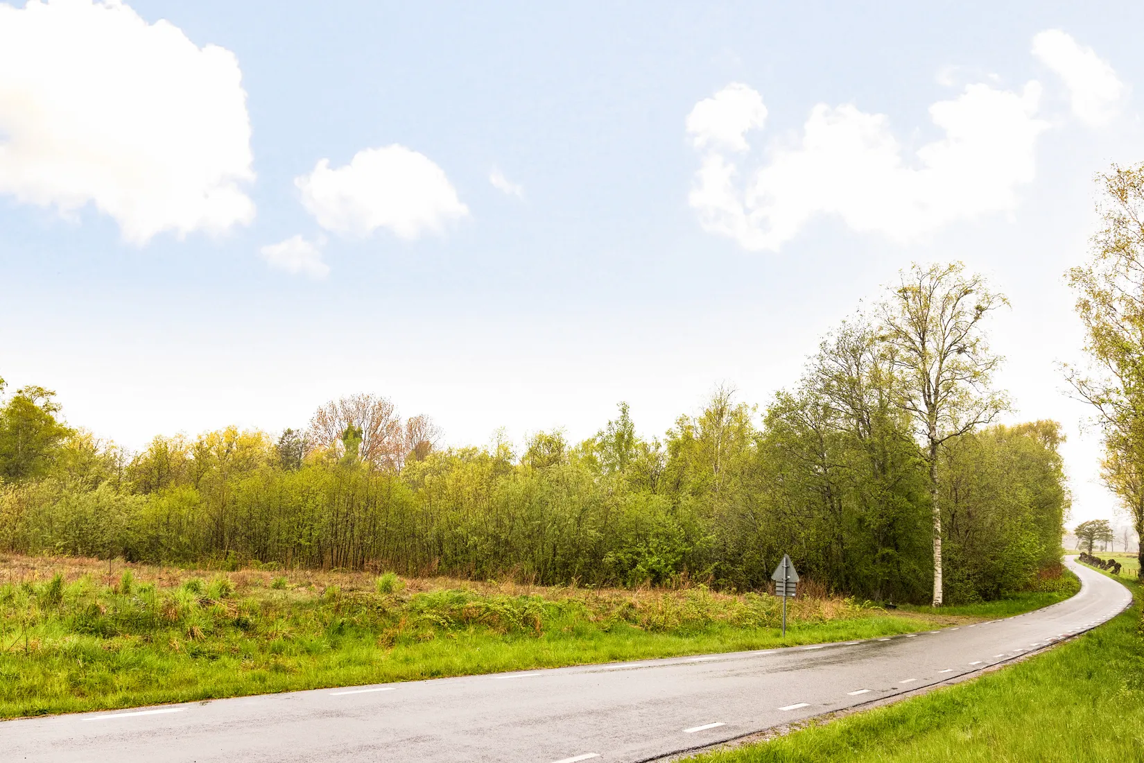 Tomt, Skapa ditt drömboende i populära Bingsmarken, Bingsmarken, Skurup