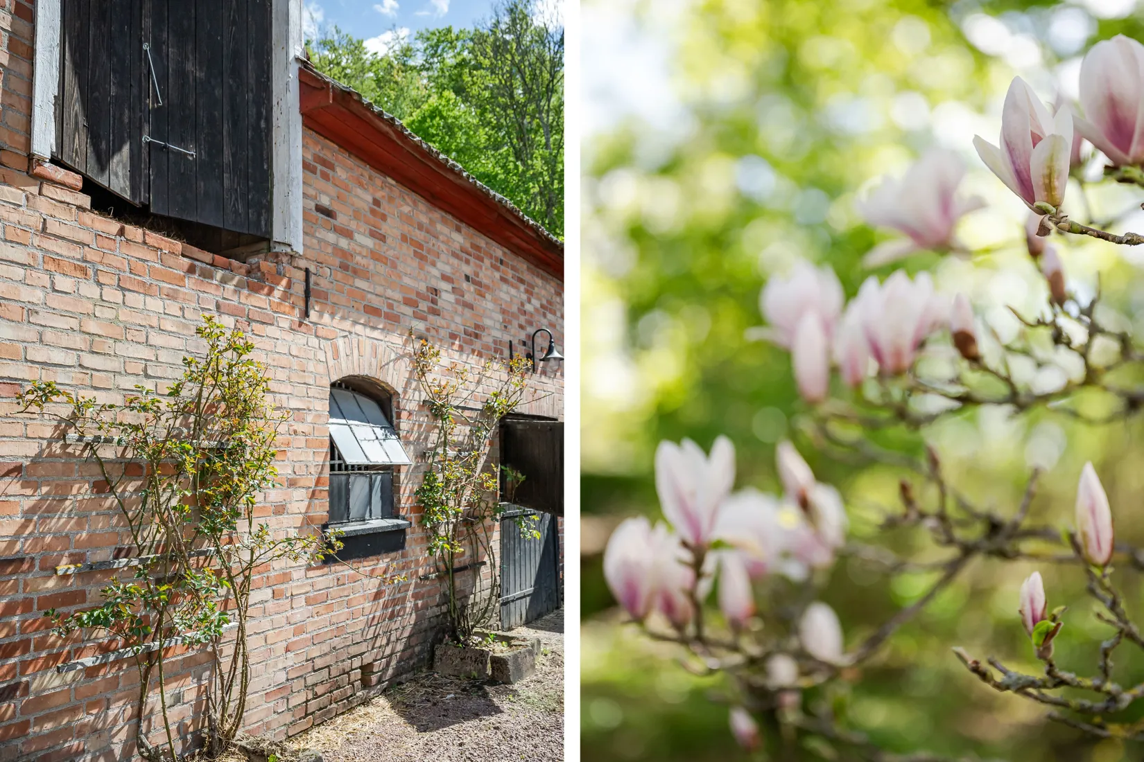 Gård/Skog, Röetvedsvägen 75, Arkelstorp, Kristianstad