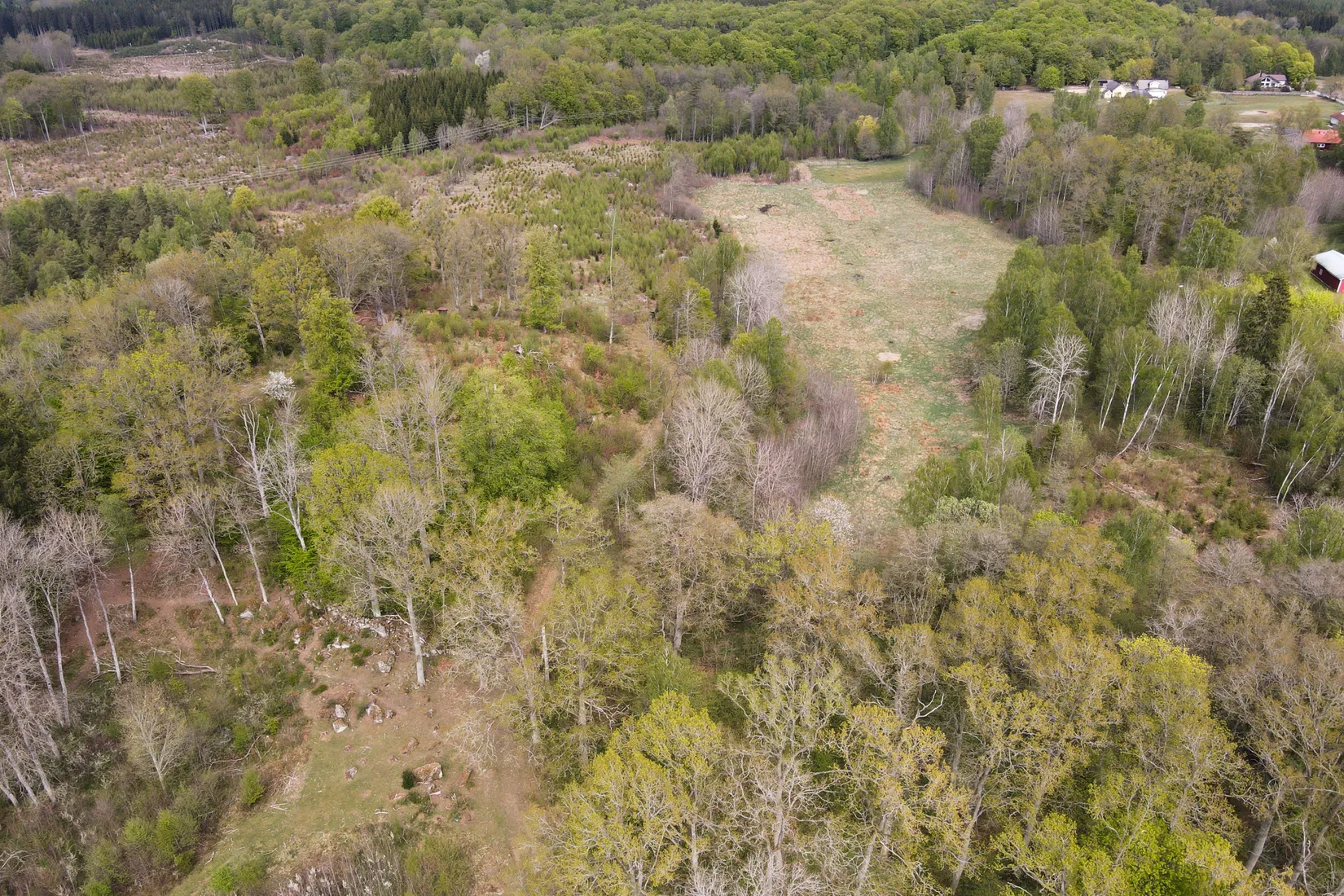Gård/Skog, Röetvedsvägen 75, Arkelstorp, Kristianstad