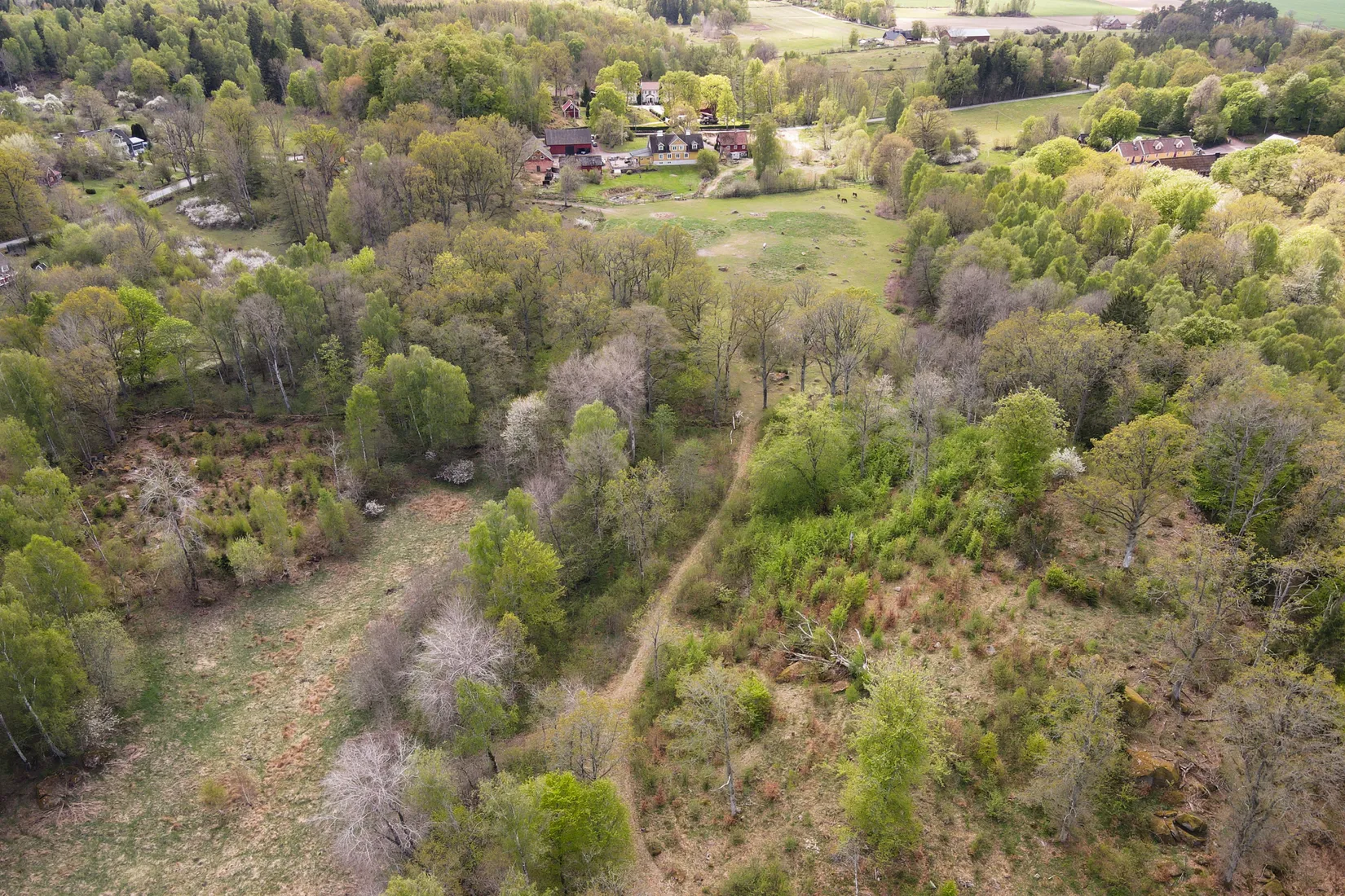 Gård/Skog, Röetvedsvägen 75, Arkelstorp, Kristianstad