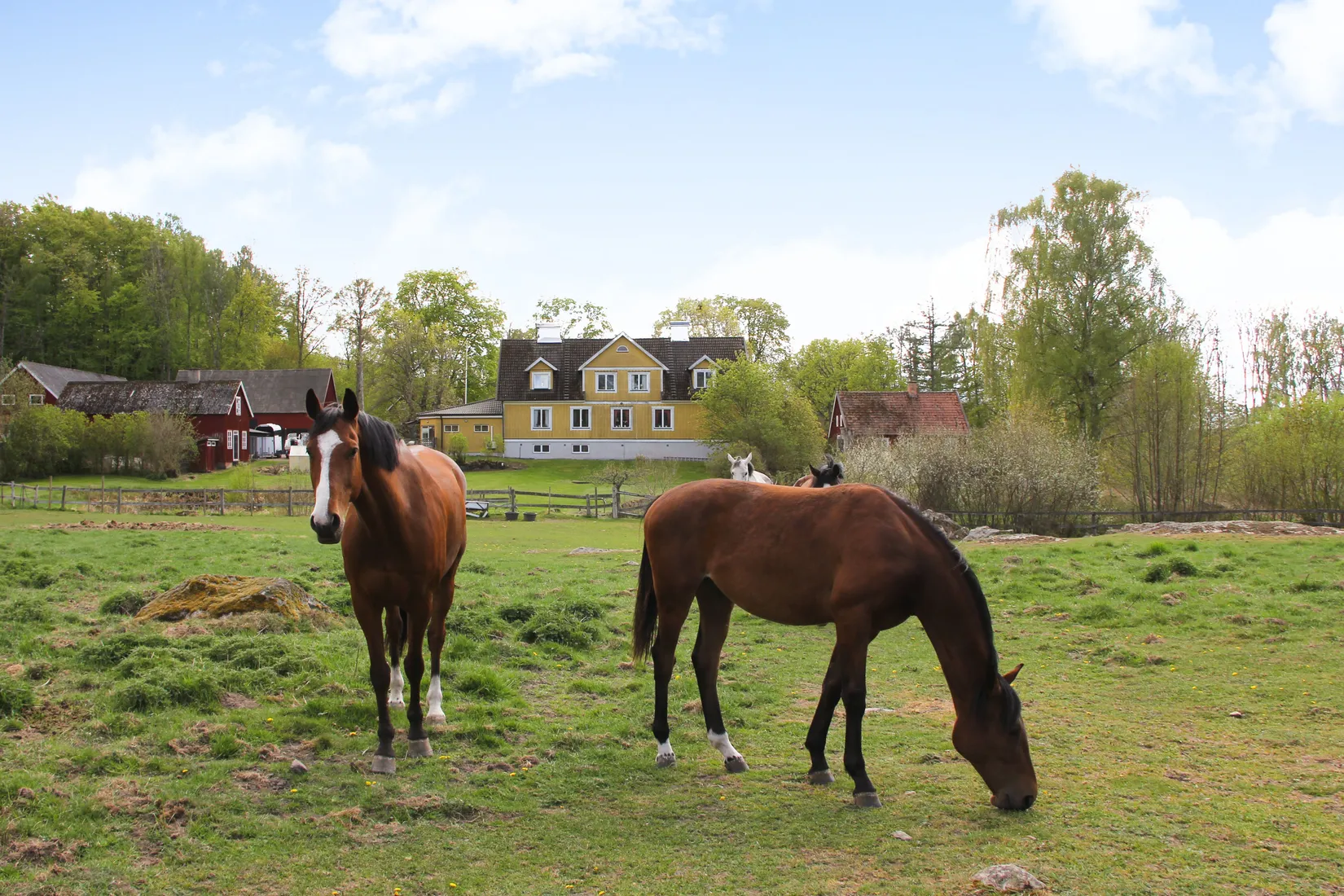 Gård/Skog, Röetvedsvägen 75, Arkelstorp, Kristianstad