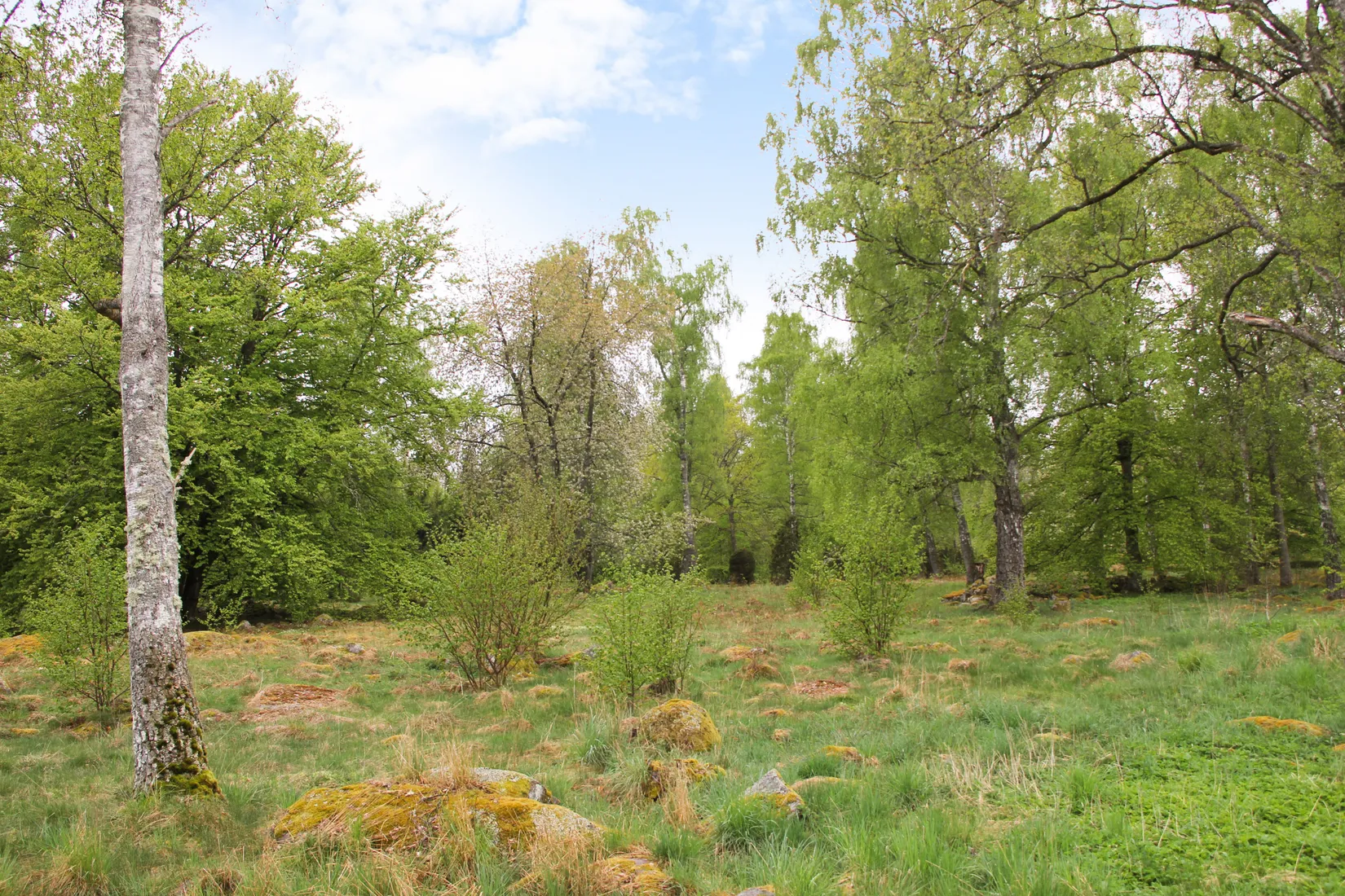 Gård/Skog, Röetvedsvägen 75, Arkelstorp, Kristianstad