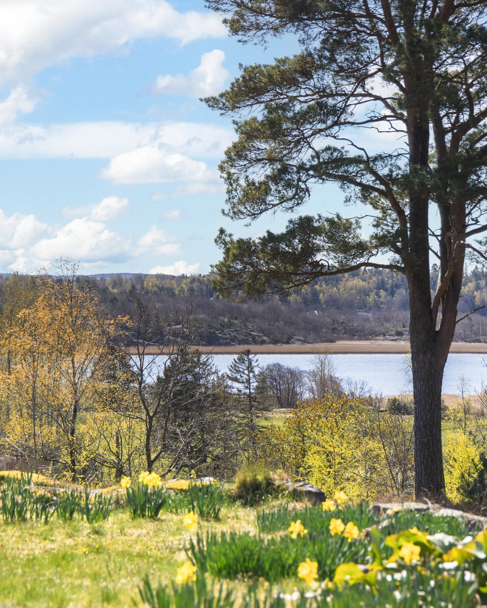 Tomt, Nerebyskogens väg 16, Kungälv - Harestad, Kungälv