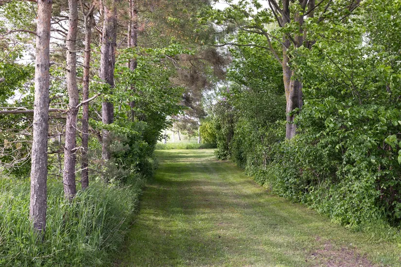 Villa, Eskilstorpsvägen 74, Vittskövle, Kristianstad
