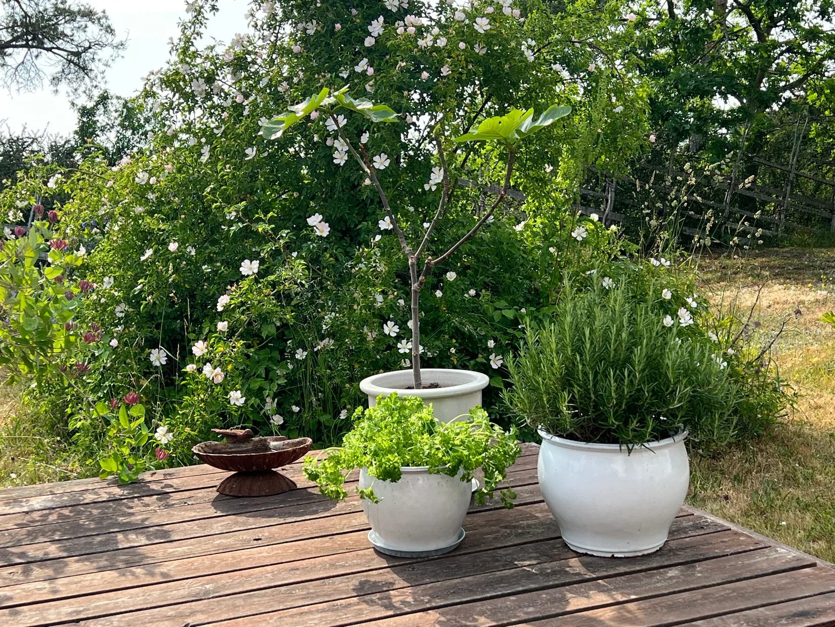 Villa, Monsunvägen 10, Gotland