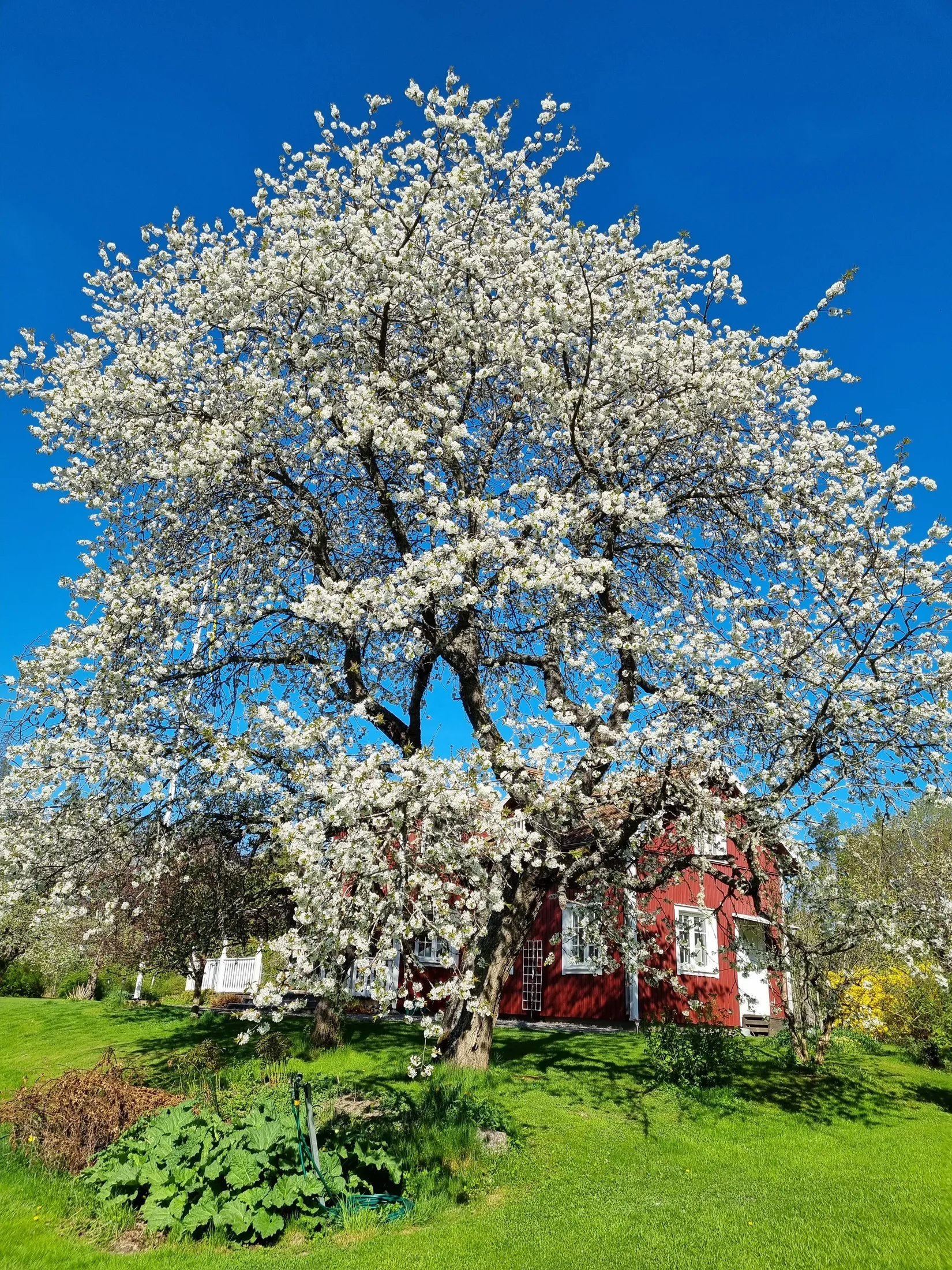 Villa, Merlänna Anneberg, Länna, Strängnäs