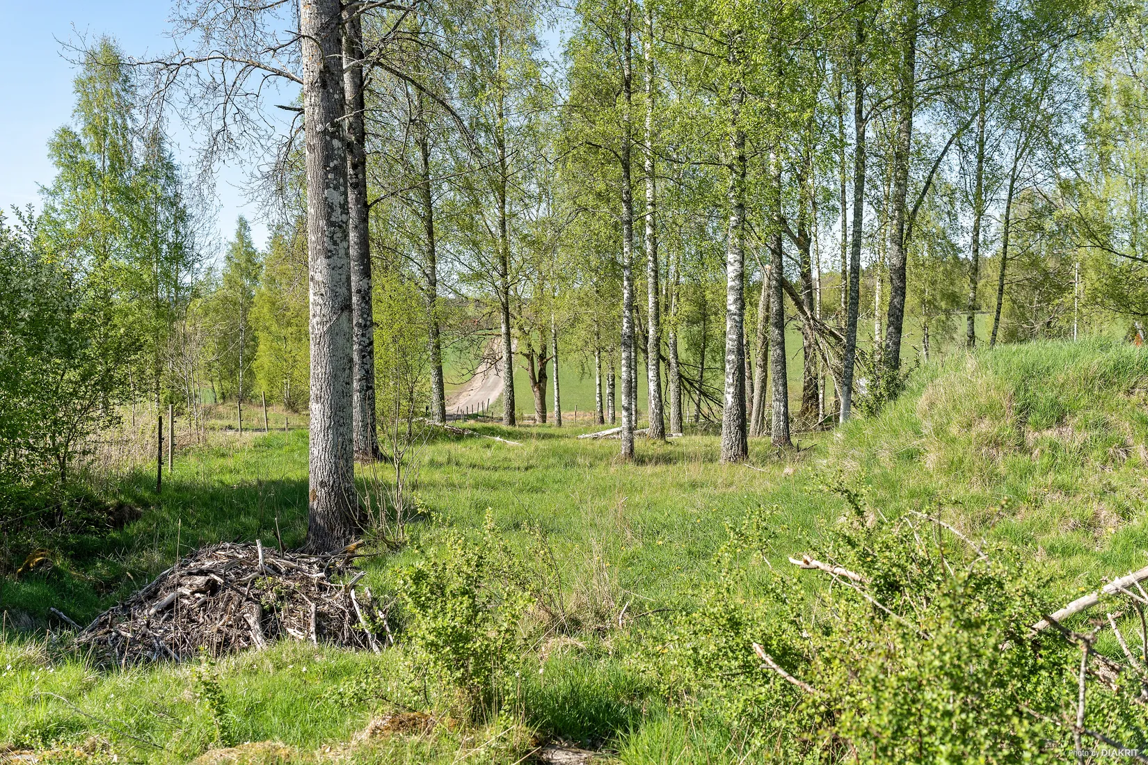 Tomt, Tomt 1-5 med adress Dalbogården, Hol, Vårgårda