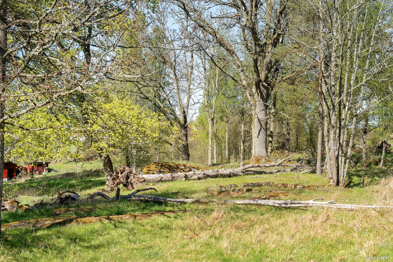 Tomt, Tomt 1-5 med adress Dalbogården, Hol, Vårgårda