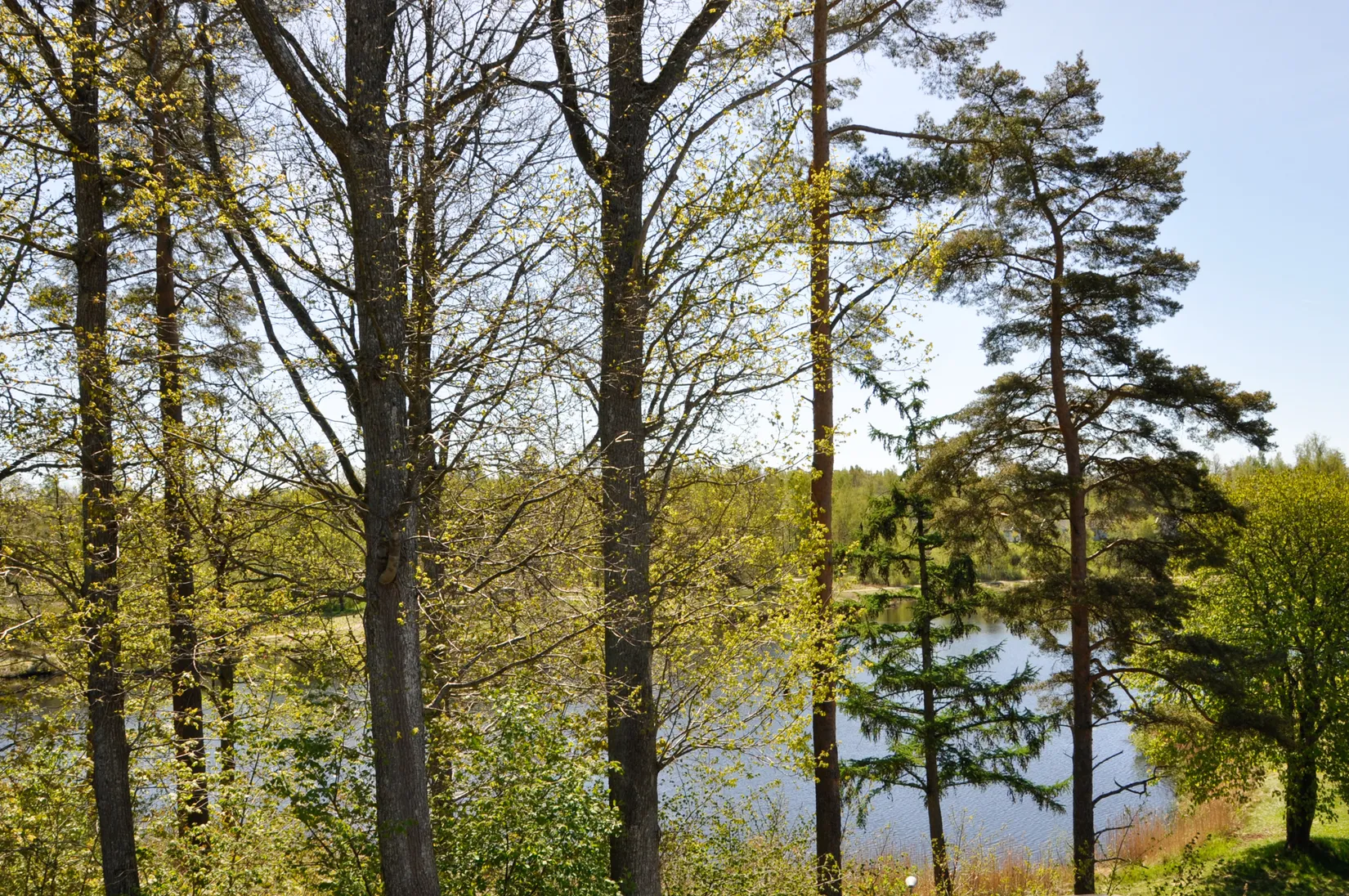 Bostadsrätt, Hagagatan 2C, lgh 1001, Markaryd