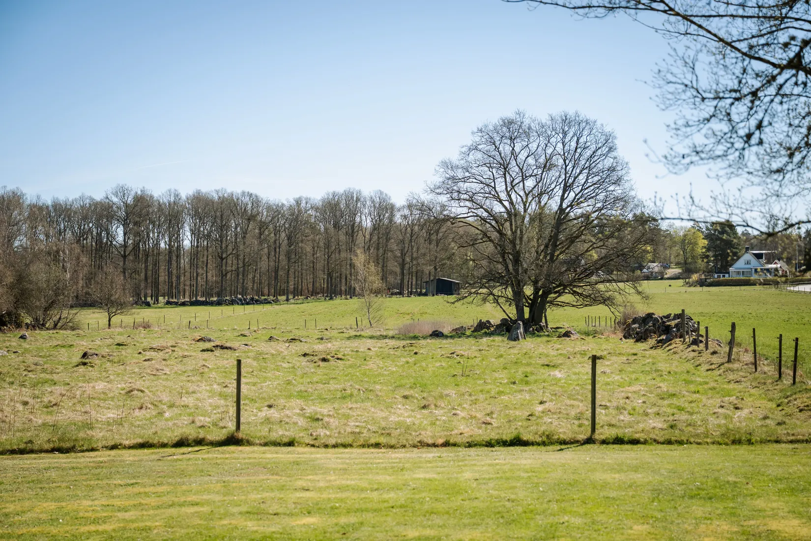 Gård/Skog, Fjärlöv 1335, Vinslöv, Hässleholm