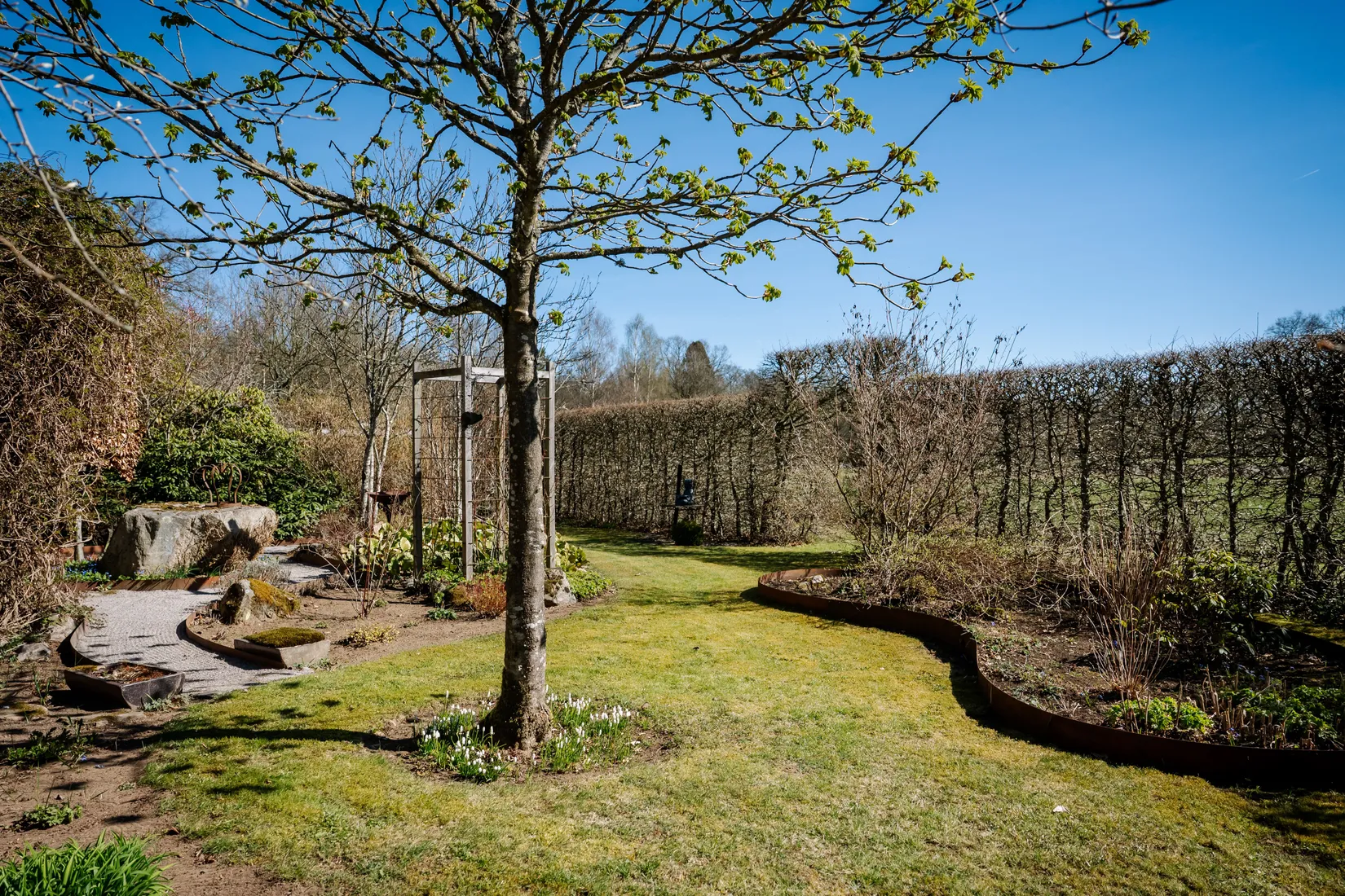 Gård/Skog, Fjärlöv 1335, Vinslöv, Hässleholm