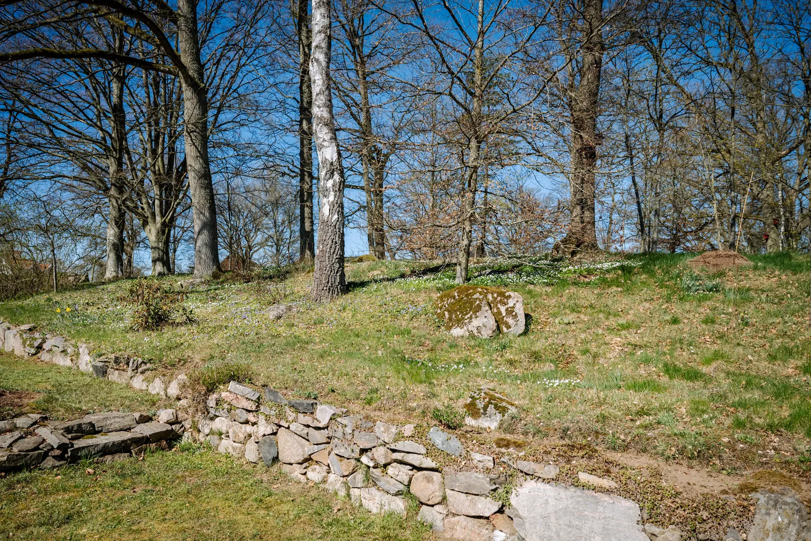 Gård/Skog, Fjärlöv 1335, Vinslöv, Hässleholm