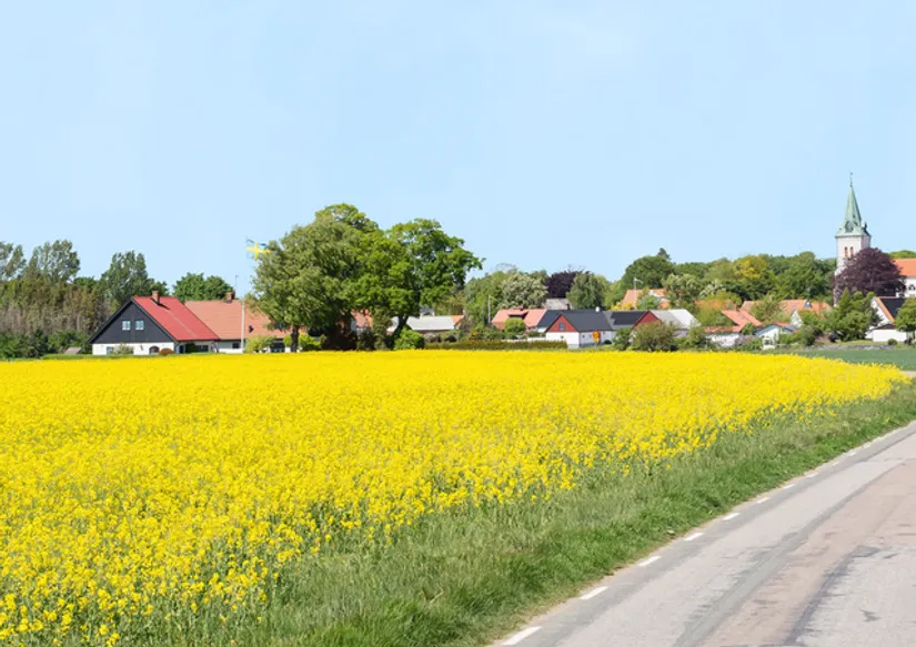 Villa, Hammarsvägen 345, Ingelstorp, Ystad