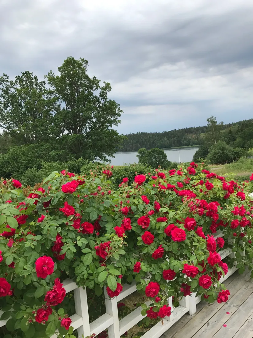 Fritidshus, Lövuddevägen 12, Lövudden, Valdemarsvik
