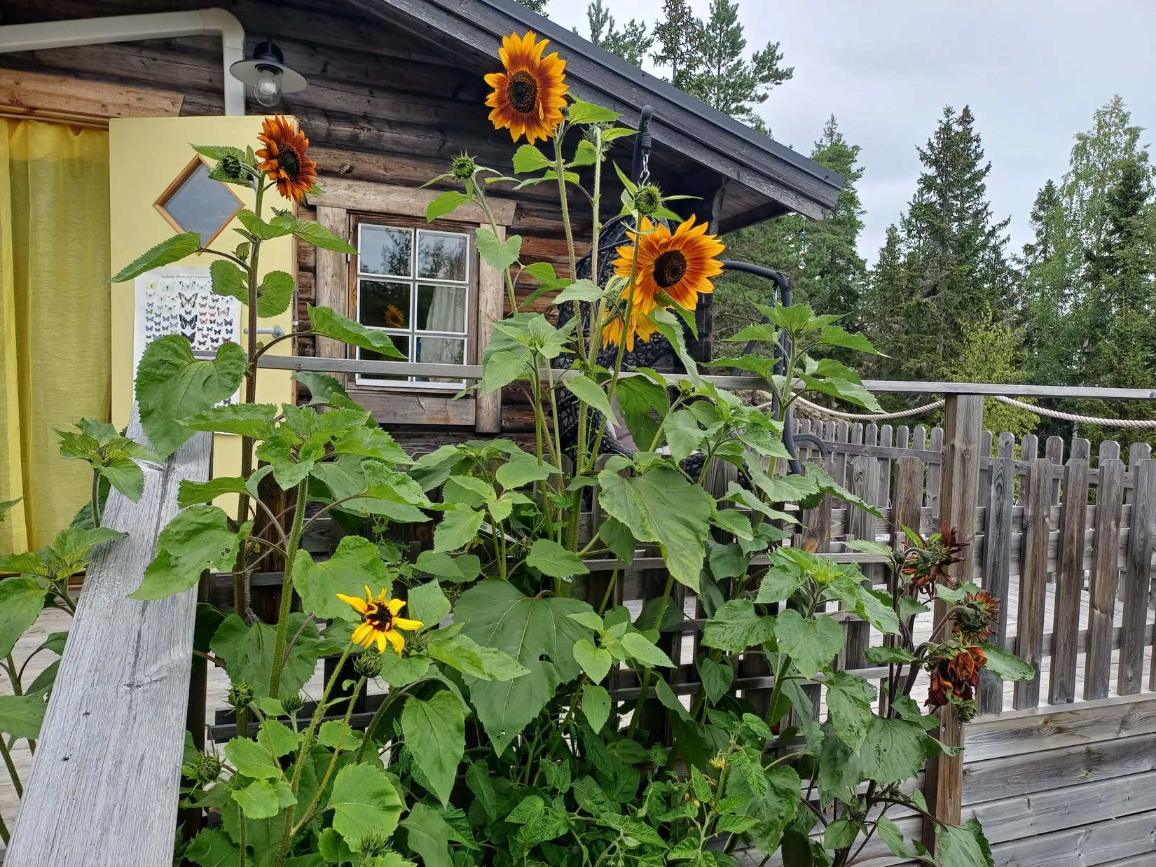 Fritidshus, Hästviken 192, Häggdånger Hästviken, Härnösand