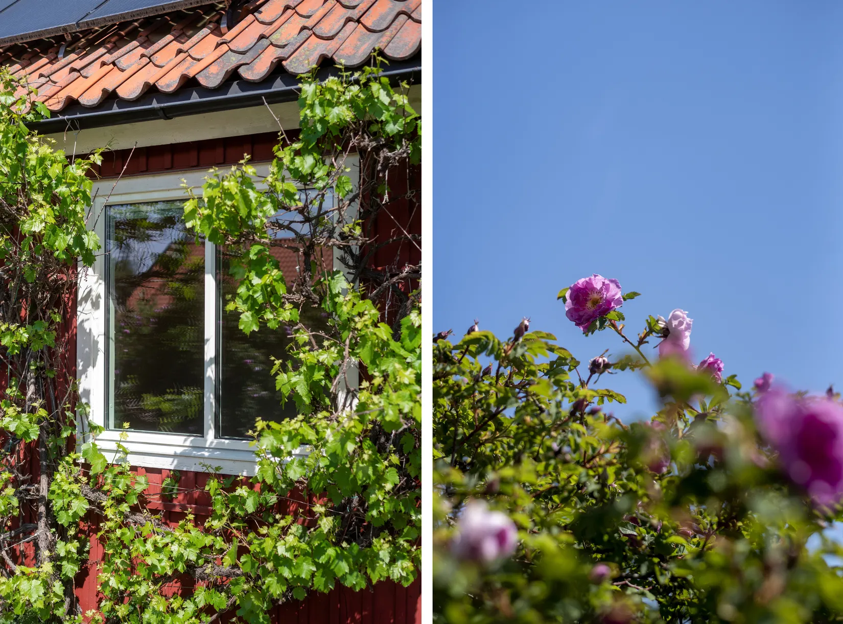 Villa, Radhus, Stallvägen 6, Ella gård, Täby