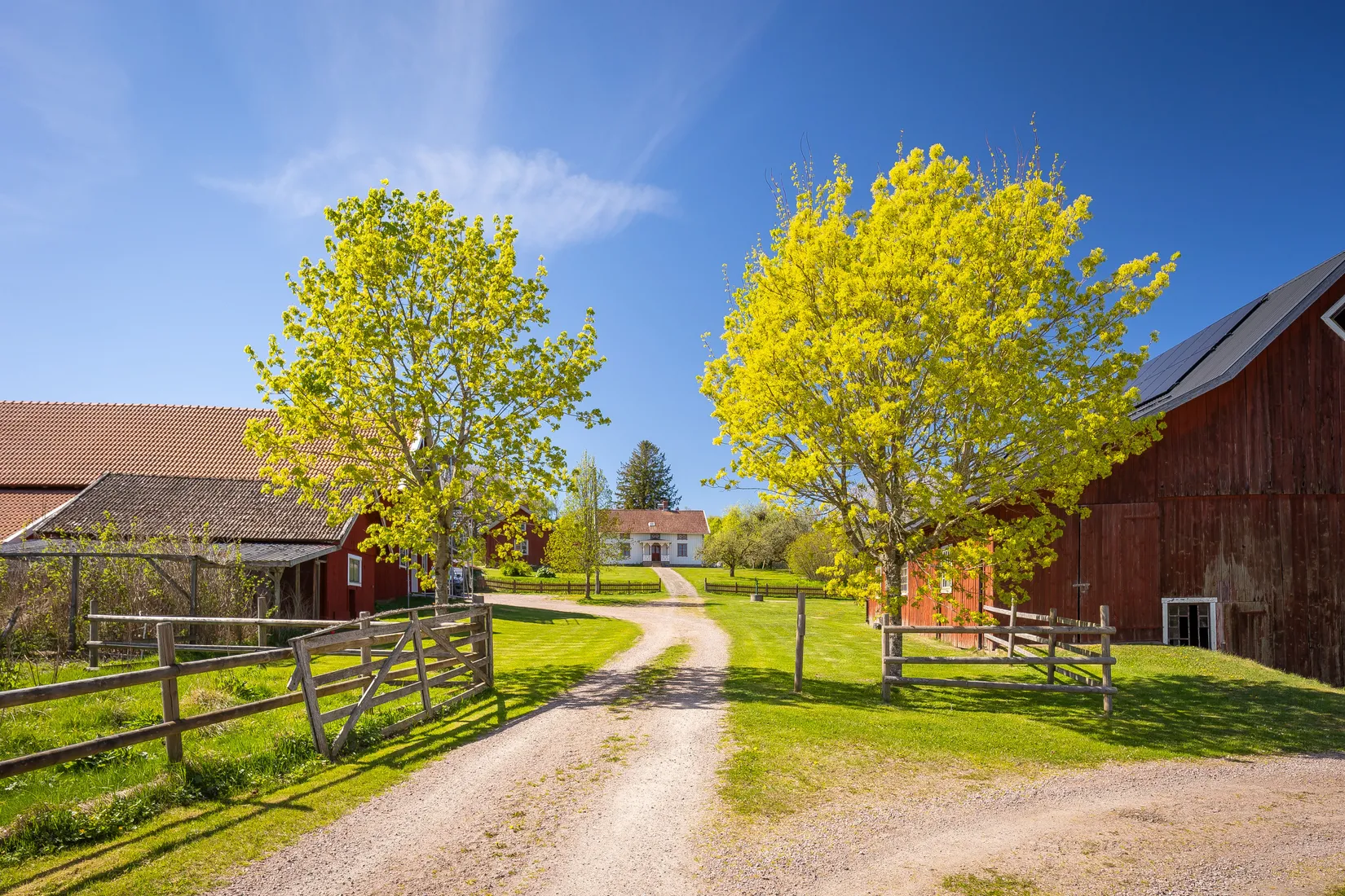 Gård/Skog, Arvidstorp 1, Lerdala, Skövde