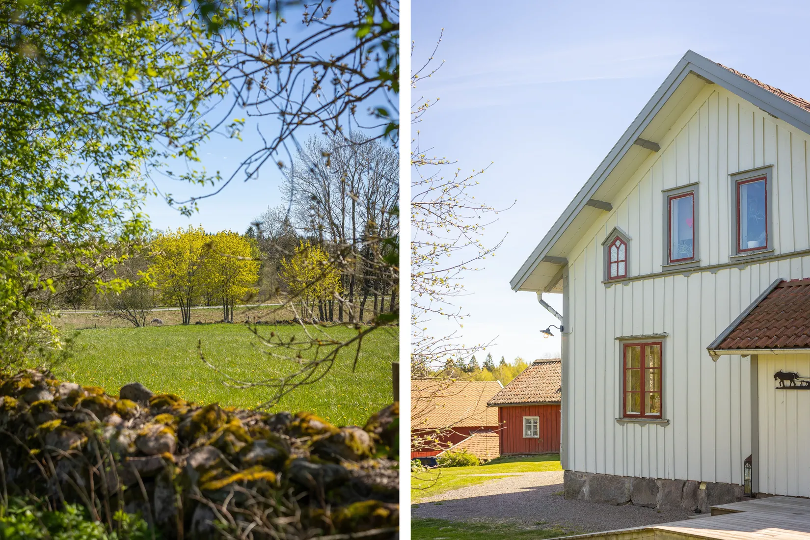 Gård/Skog, Arvidstorp 1, Lerdala, Skövde