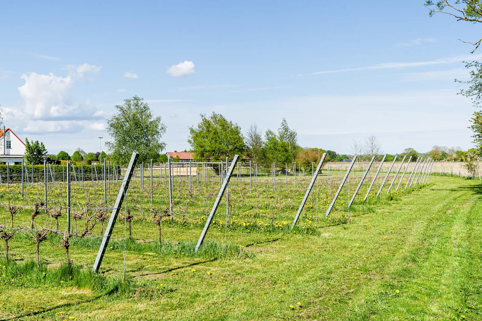 Gård/Skog, Flyinge 803, Flyingeby, Lund