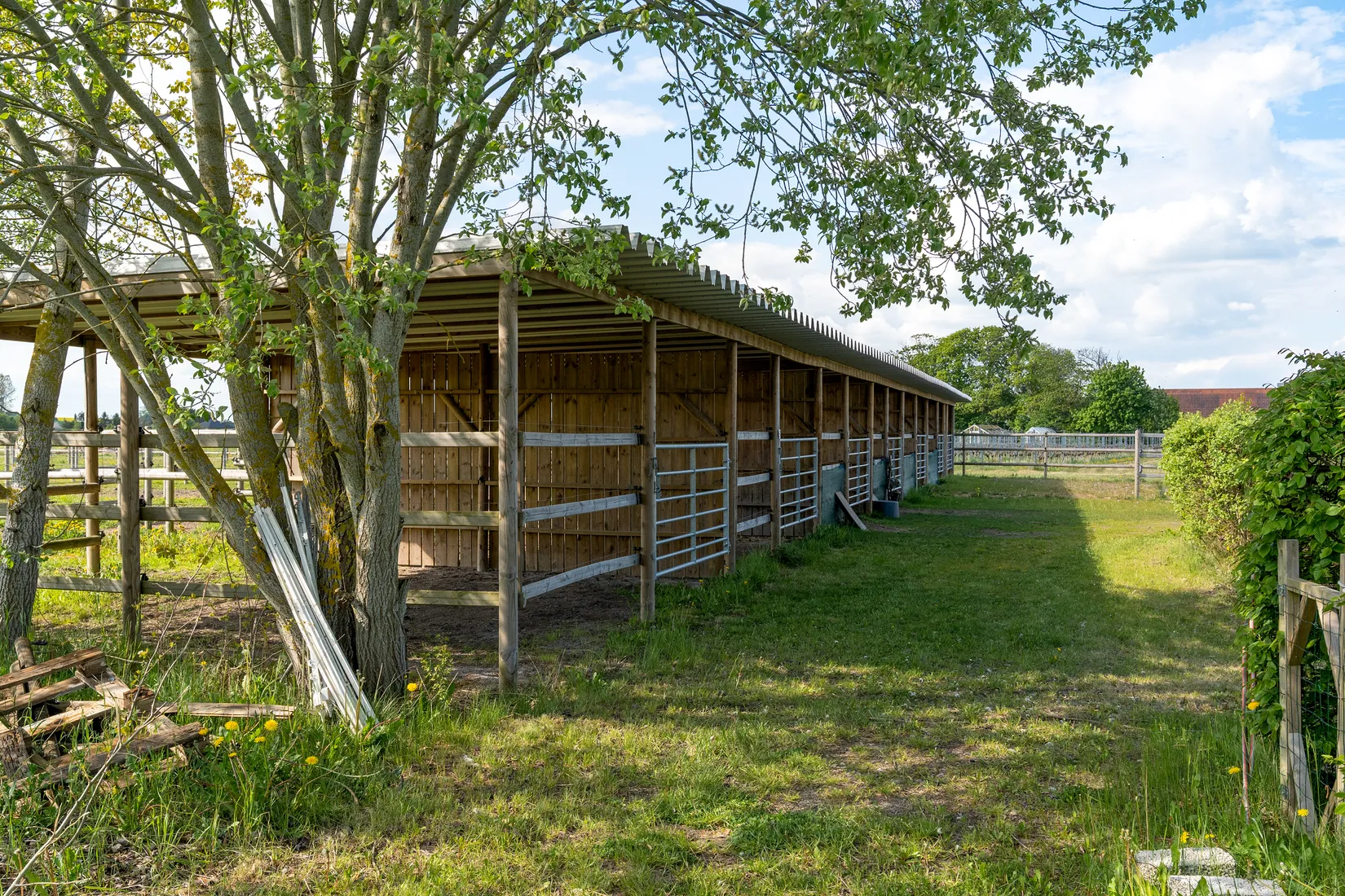 Gård/Skog, Flyinge 803, Flyingeby, Lund