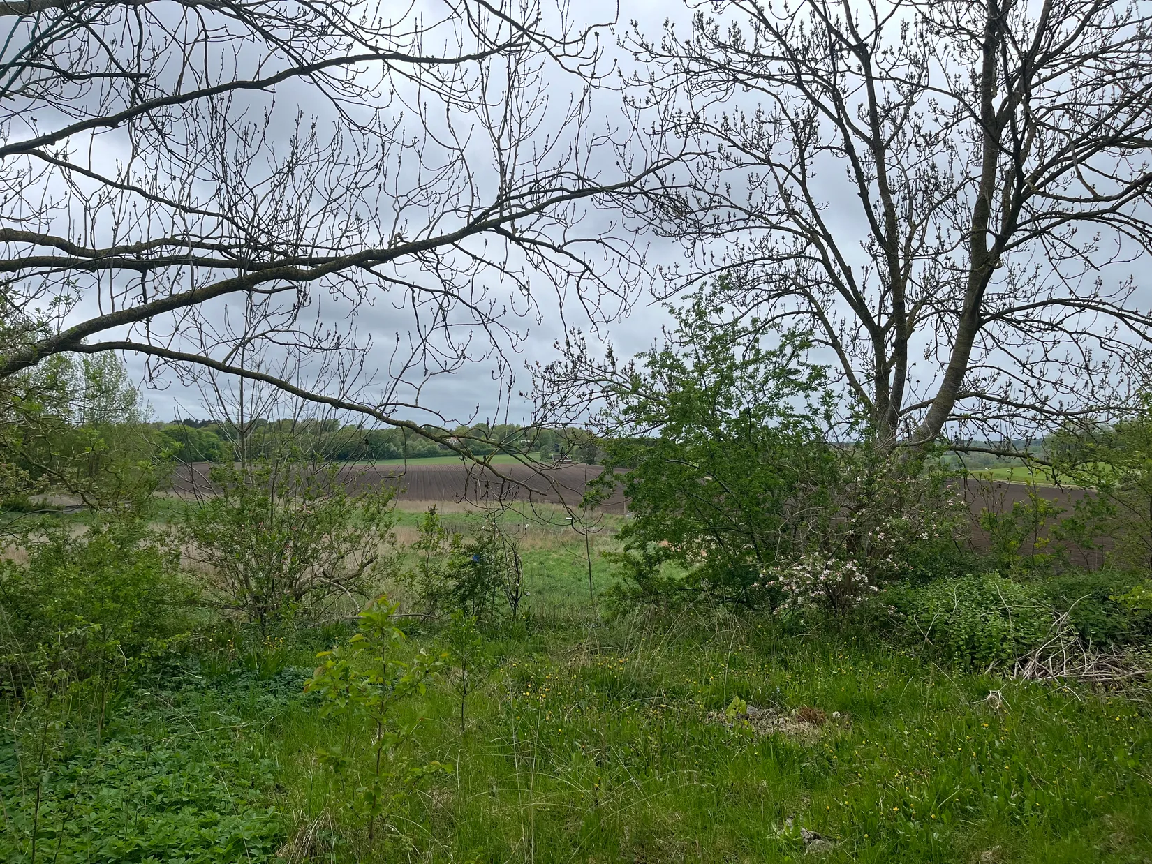 Villa, Oppmannavägen 266, Oppmanna, Kristianstad