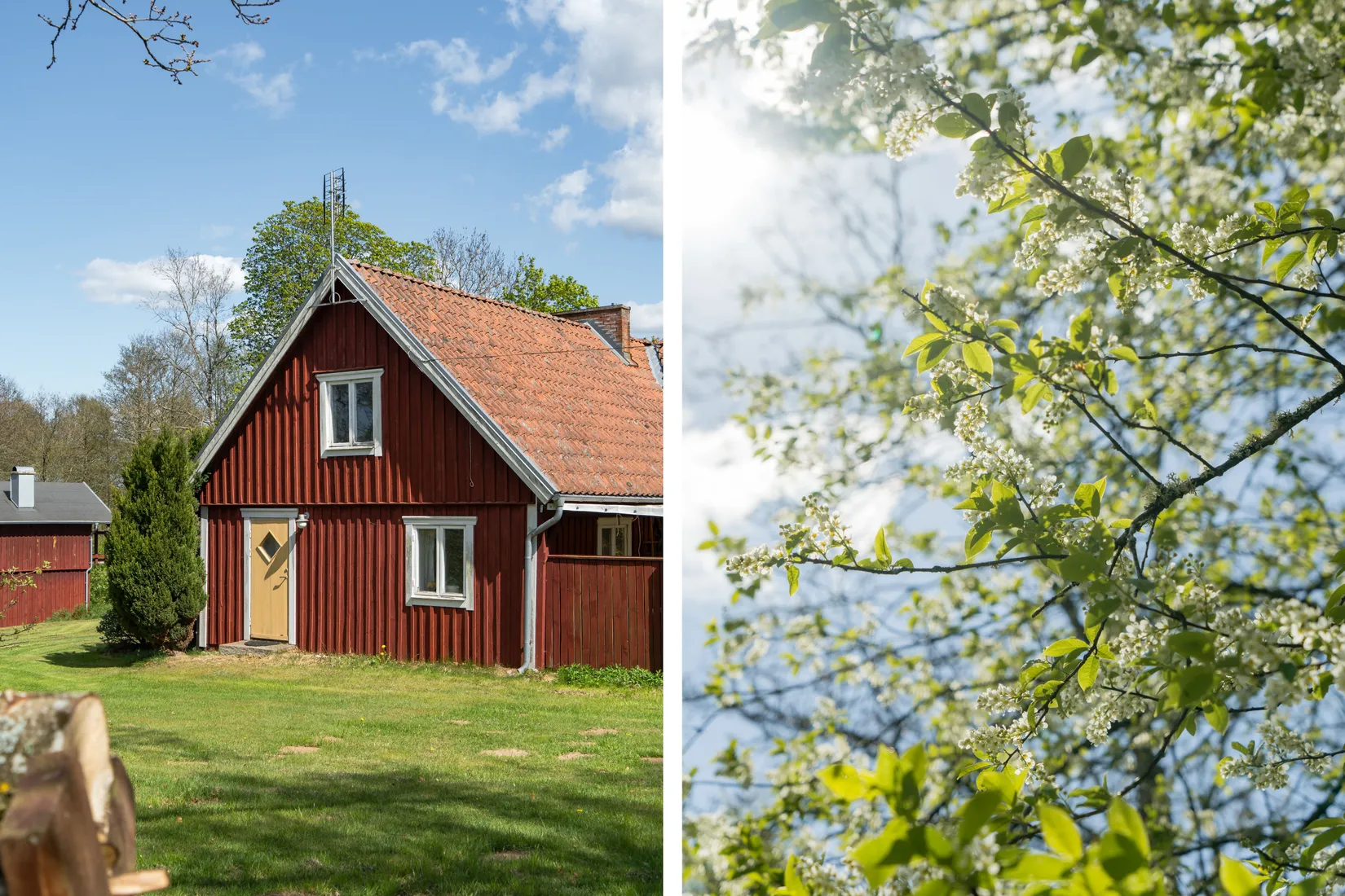 Gård/Skog, Harthus 395, Klippan
