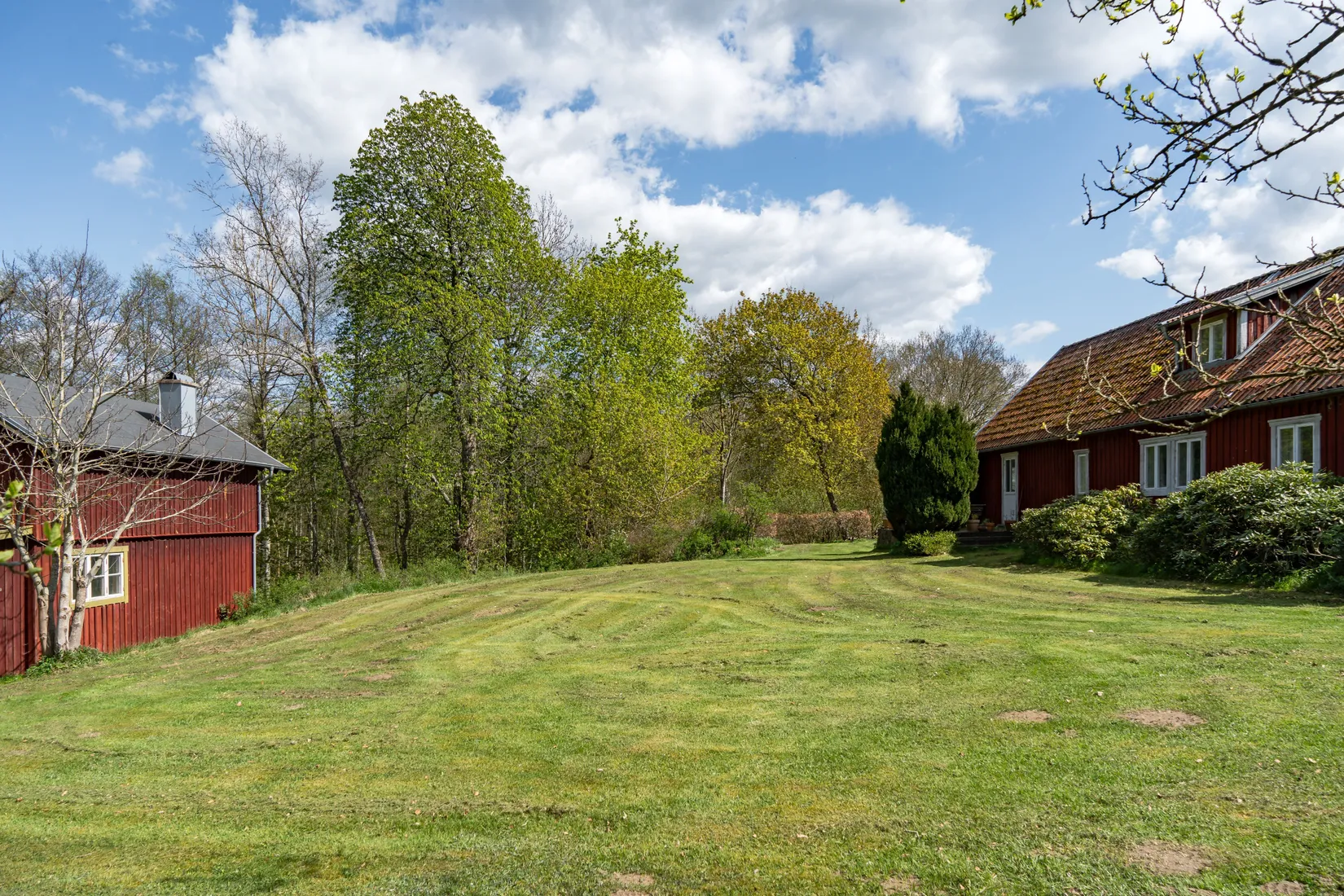 Gård/Skog, Harthus 395, Klippan