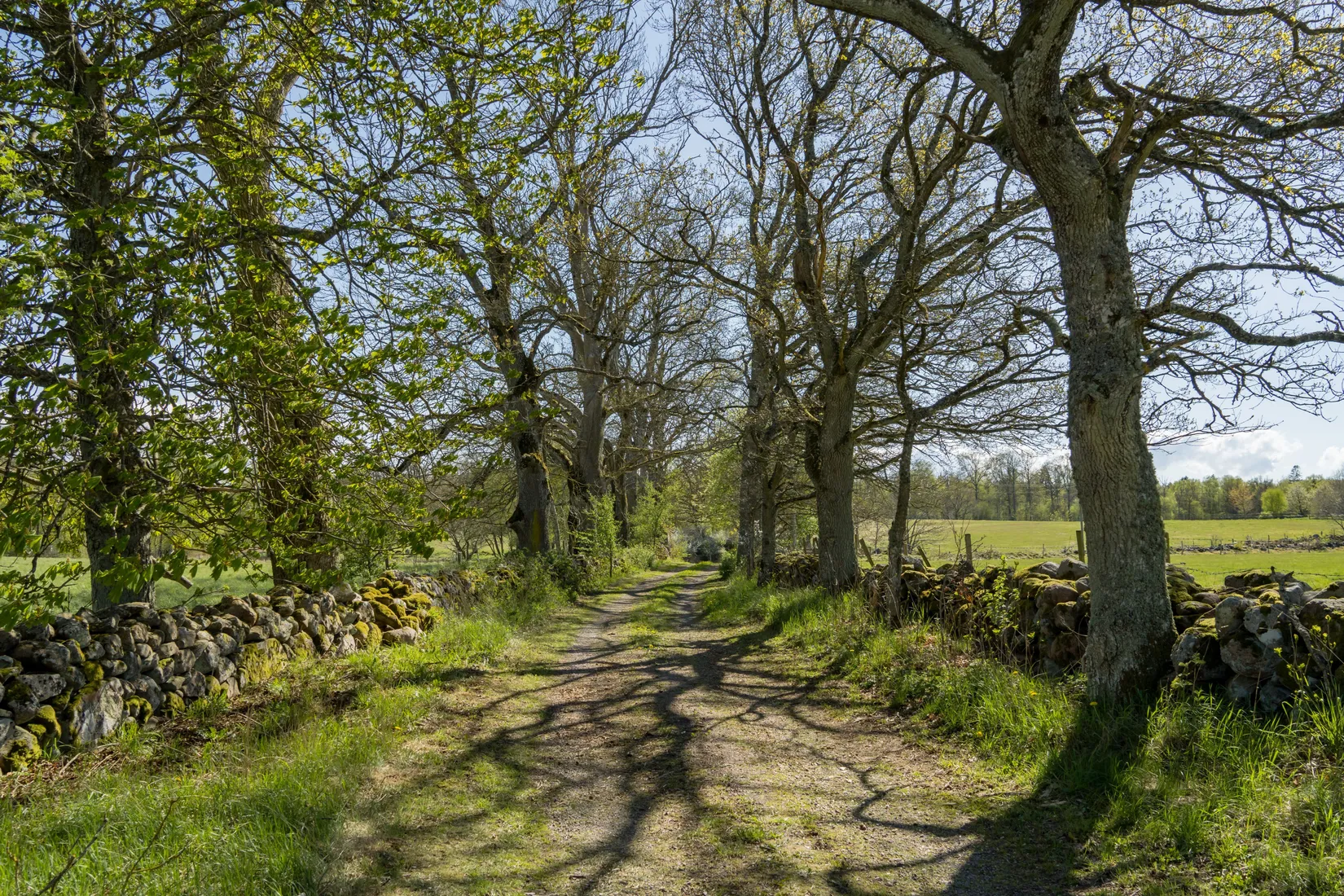 Gård/Skog, Harthus 395, Klippan