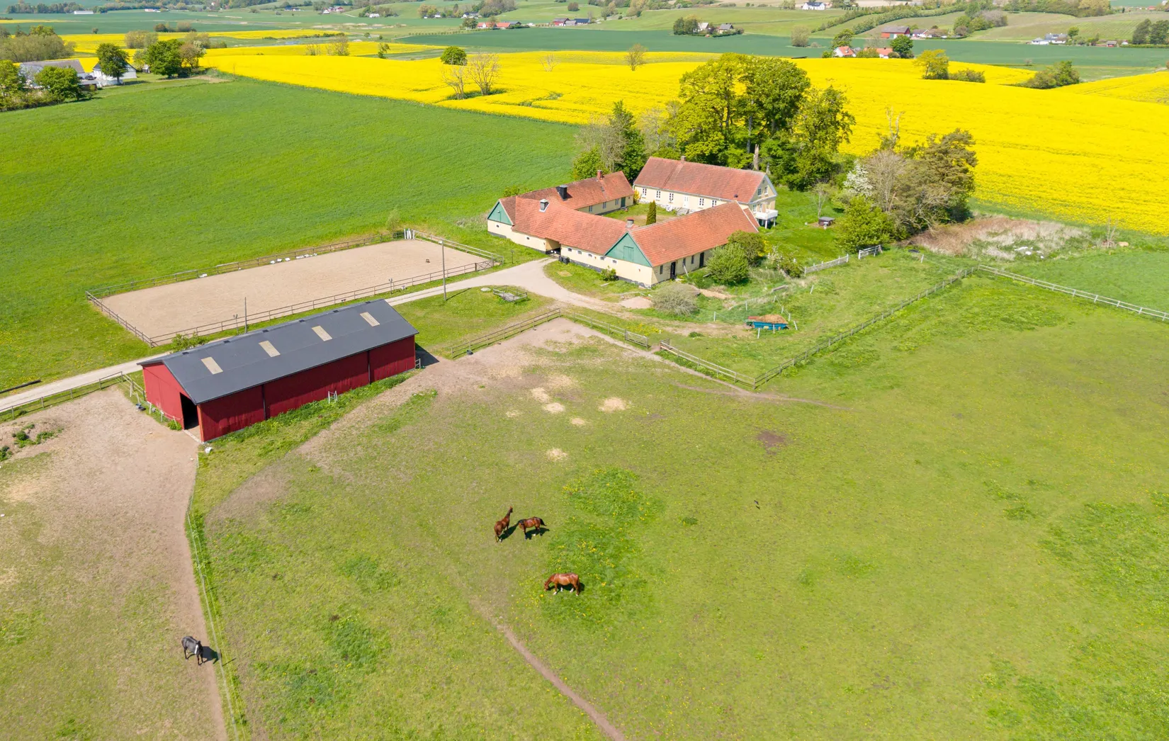 Gård/Skog, Grönbyvägen 217-53, Trelleborg